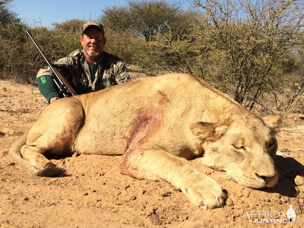 Lioness Hunting in South Africa