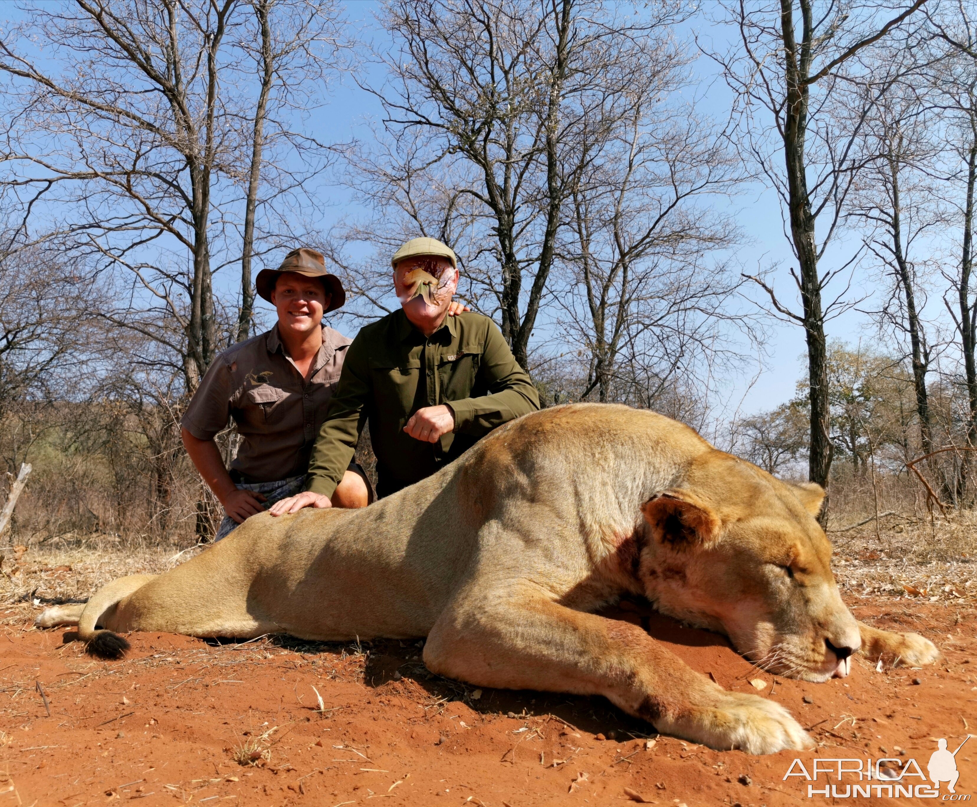 Lioness Hunting South Africa