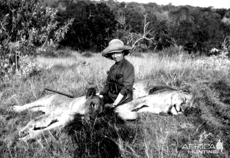 Lioness Hunting