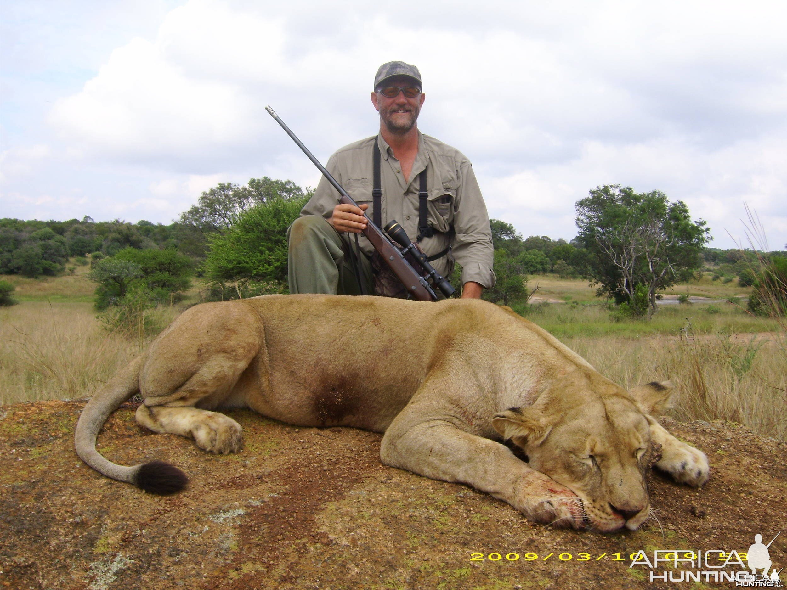 Lioness Inyala Safaris