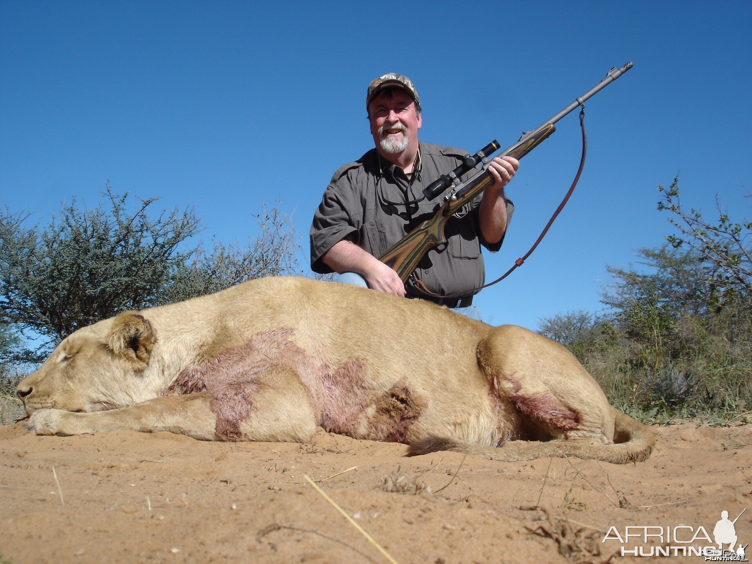 Lioness taken in Kalahari 2014