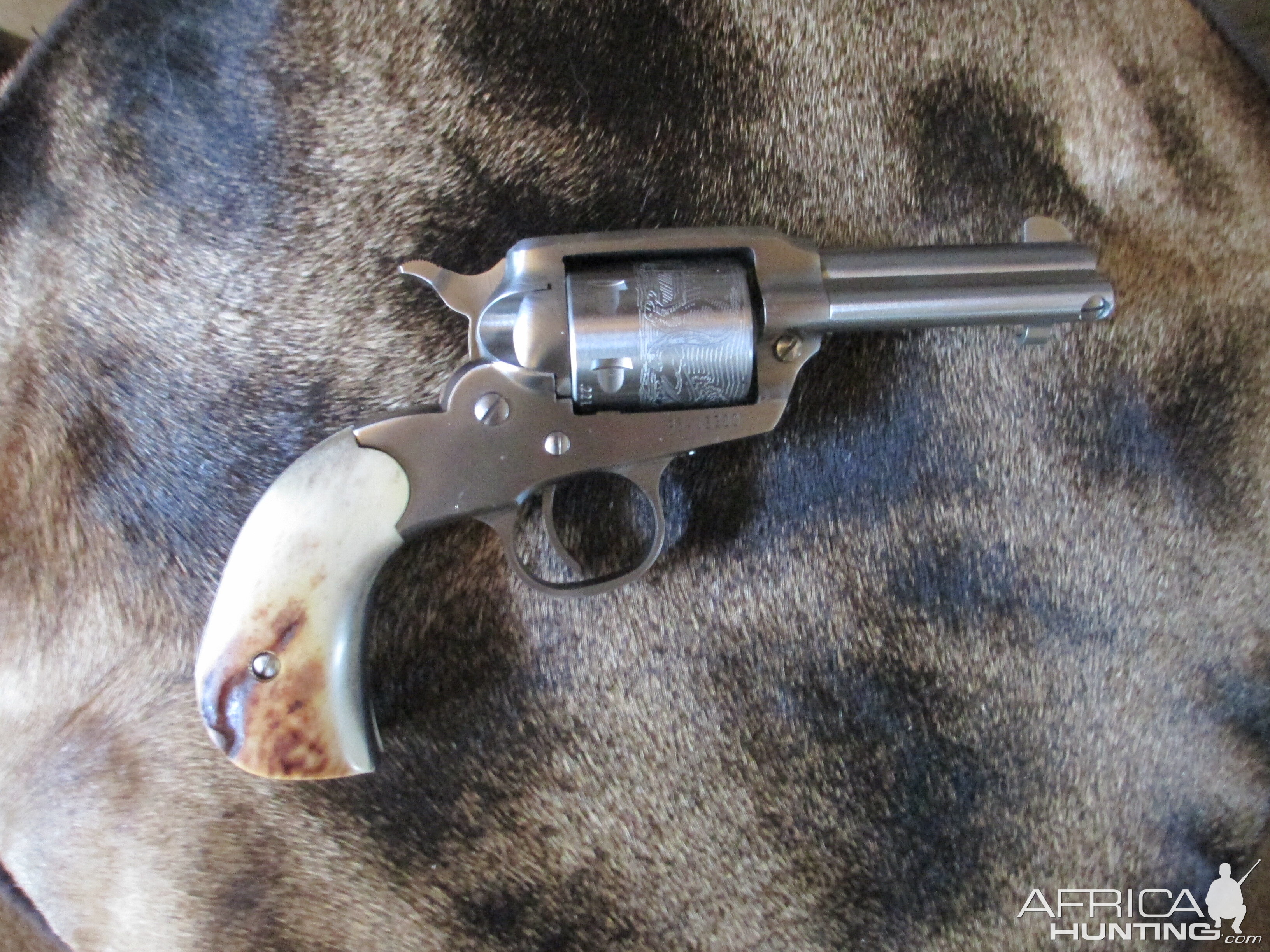 lipsey ruger bearcat