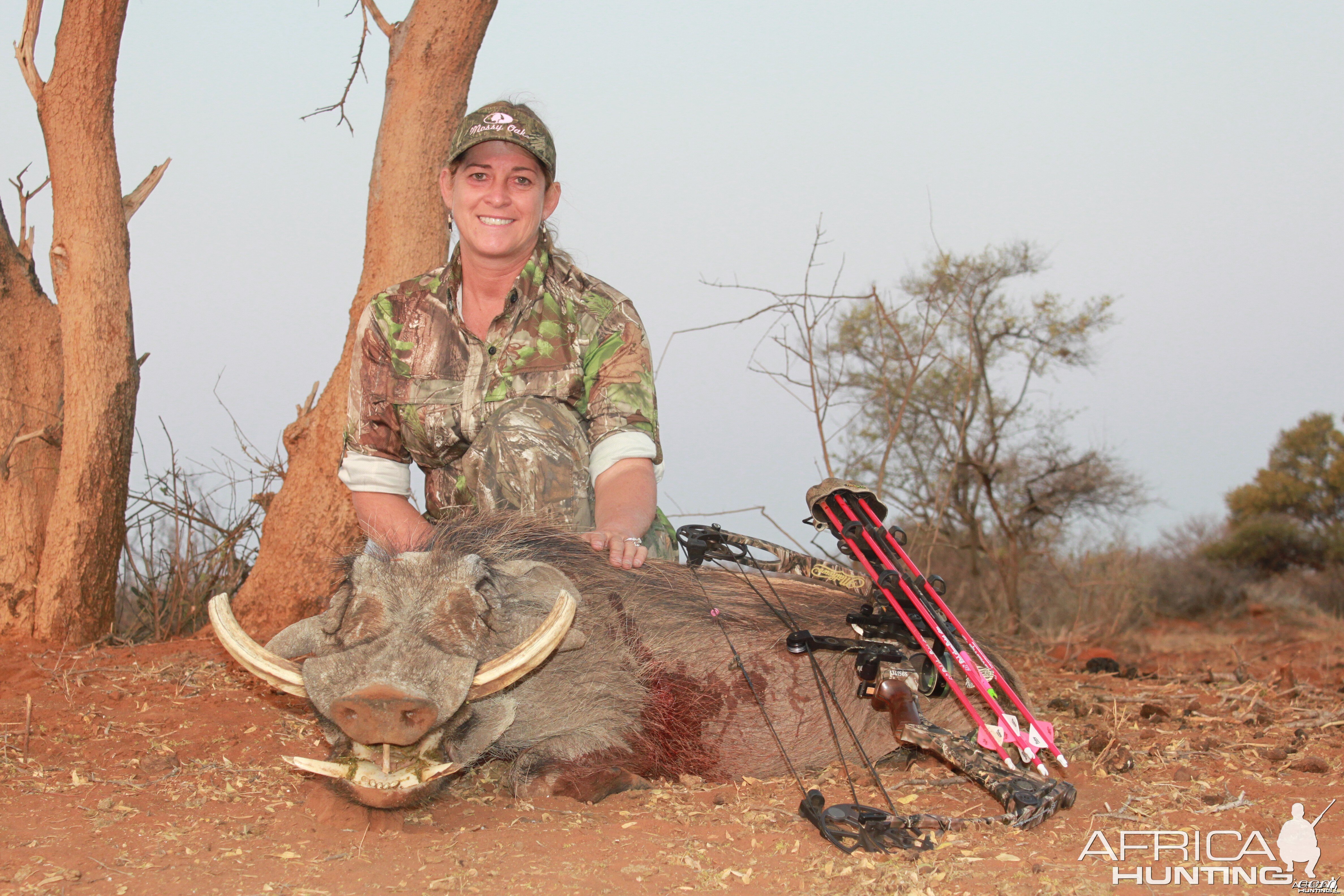 Lisa's big warthog Limcroma Safaris 2015