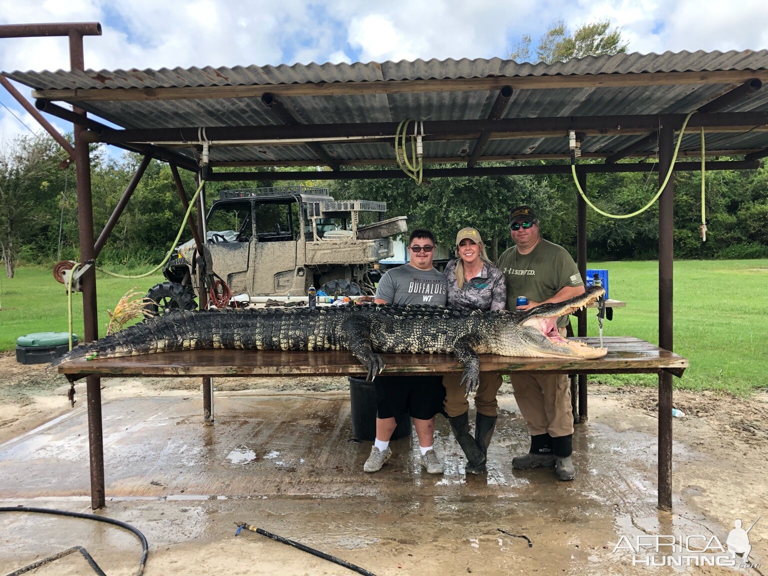 Little Texas Hunt Alligator