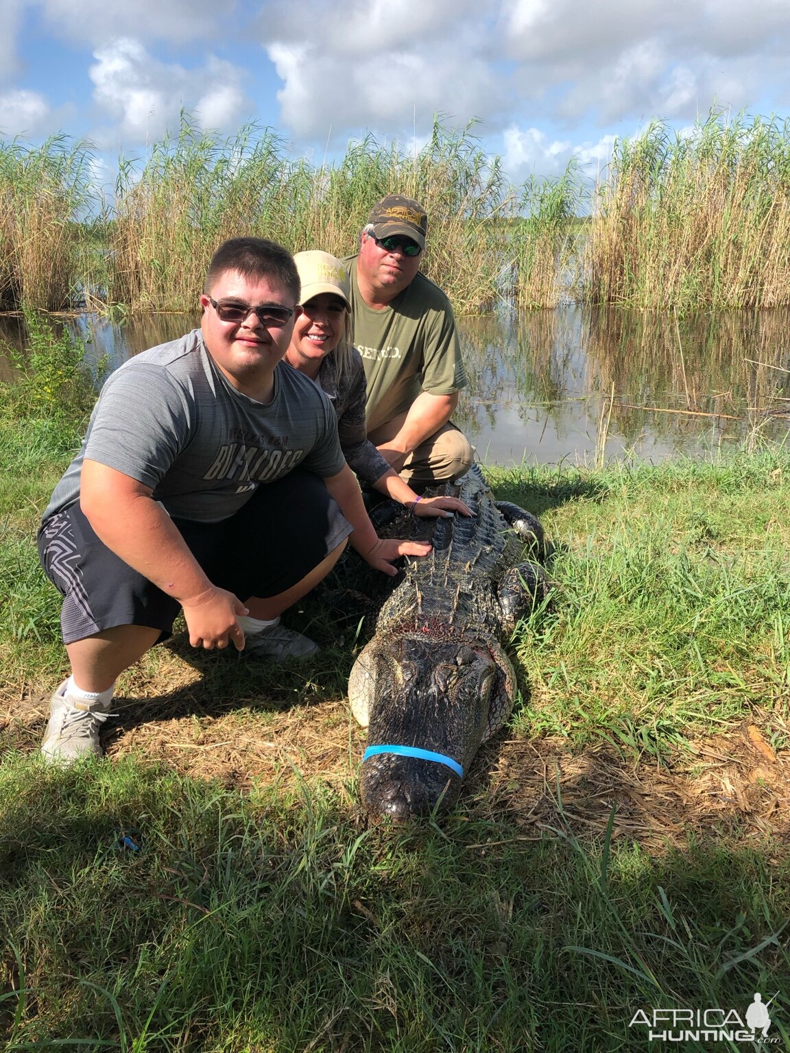 Little Texas Hunting Alligator