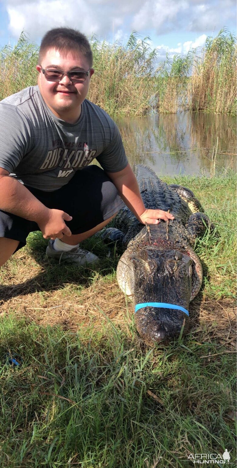 Little Texas USA Hunting Alligator