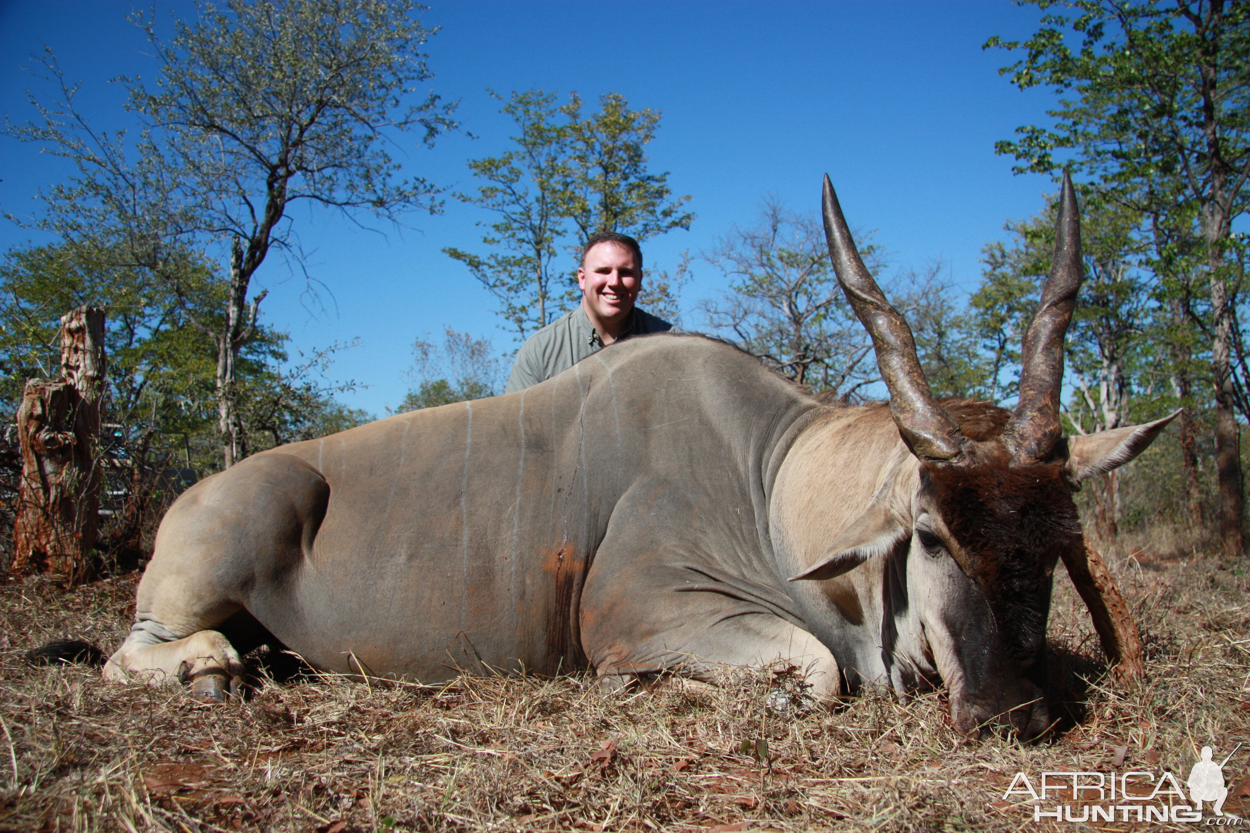 Livingstone Eland 2011 Save Valley