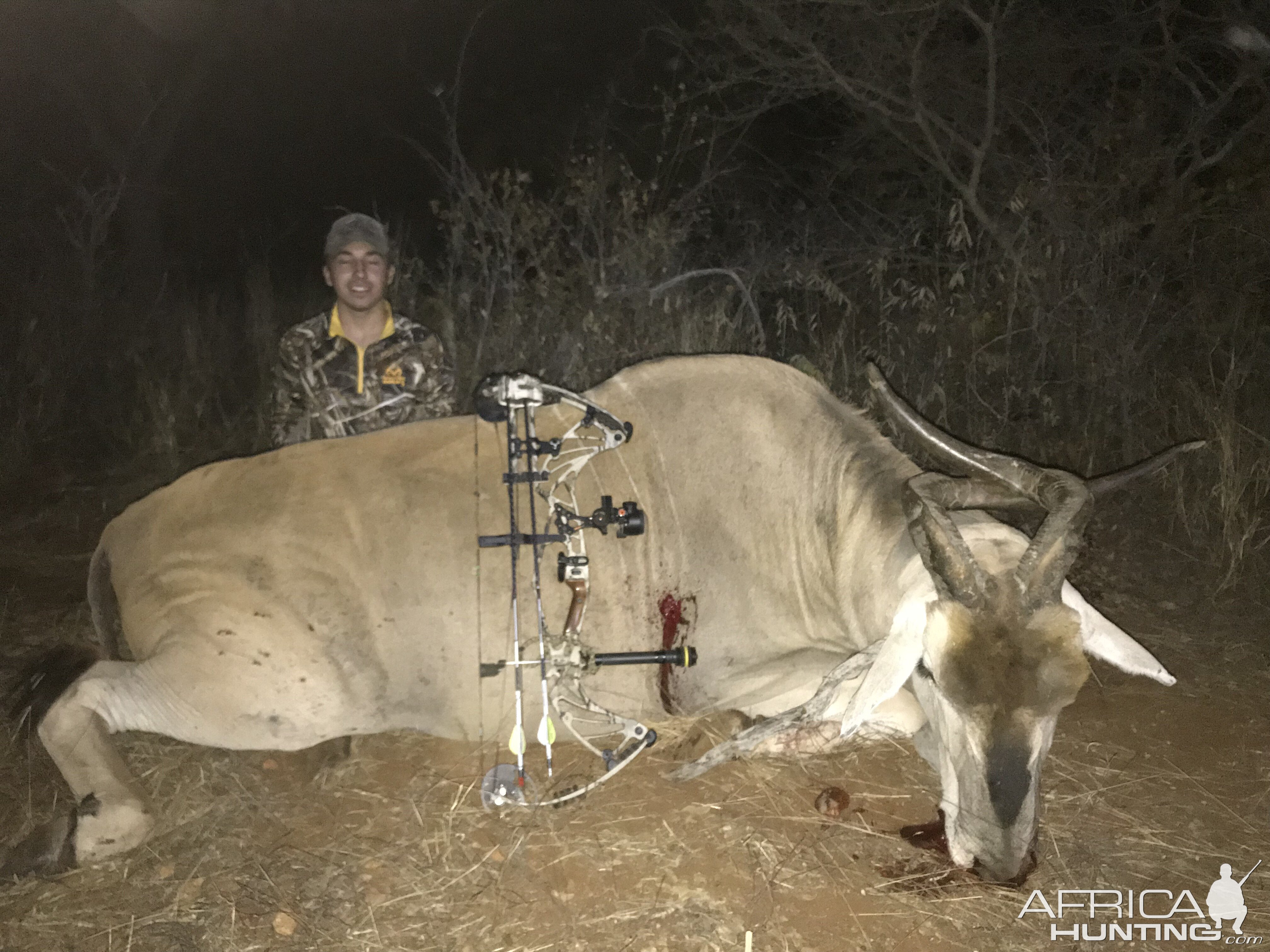 Livingstone Eland Bow Hunt Namibia