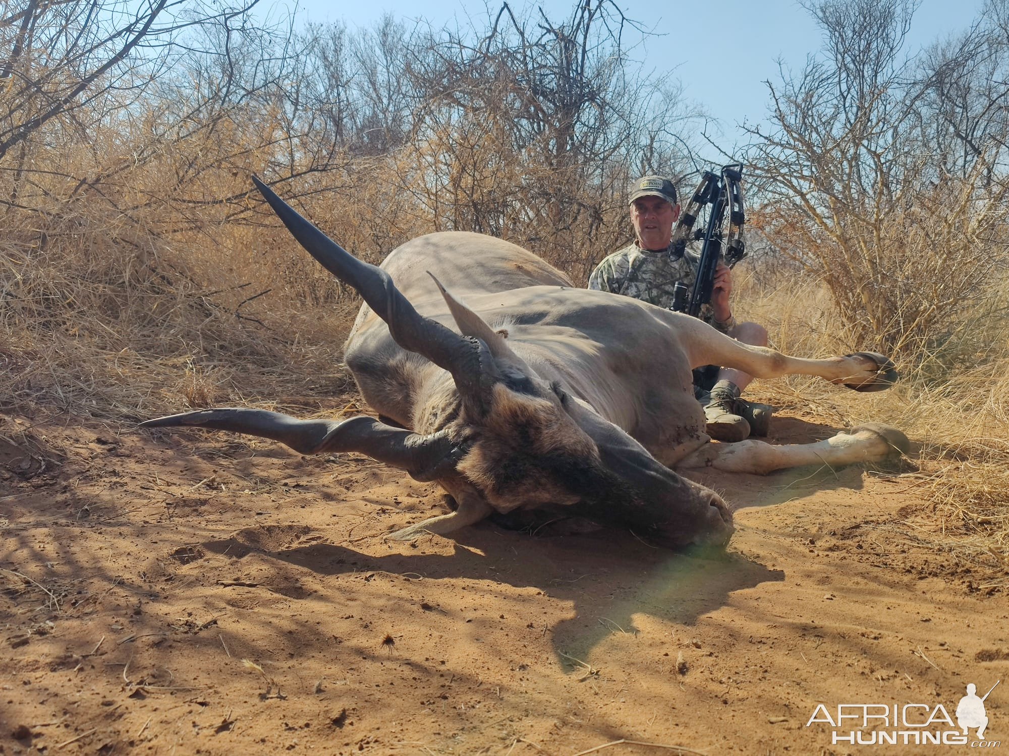 Livingstone Eland Bow Hunt