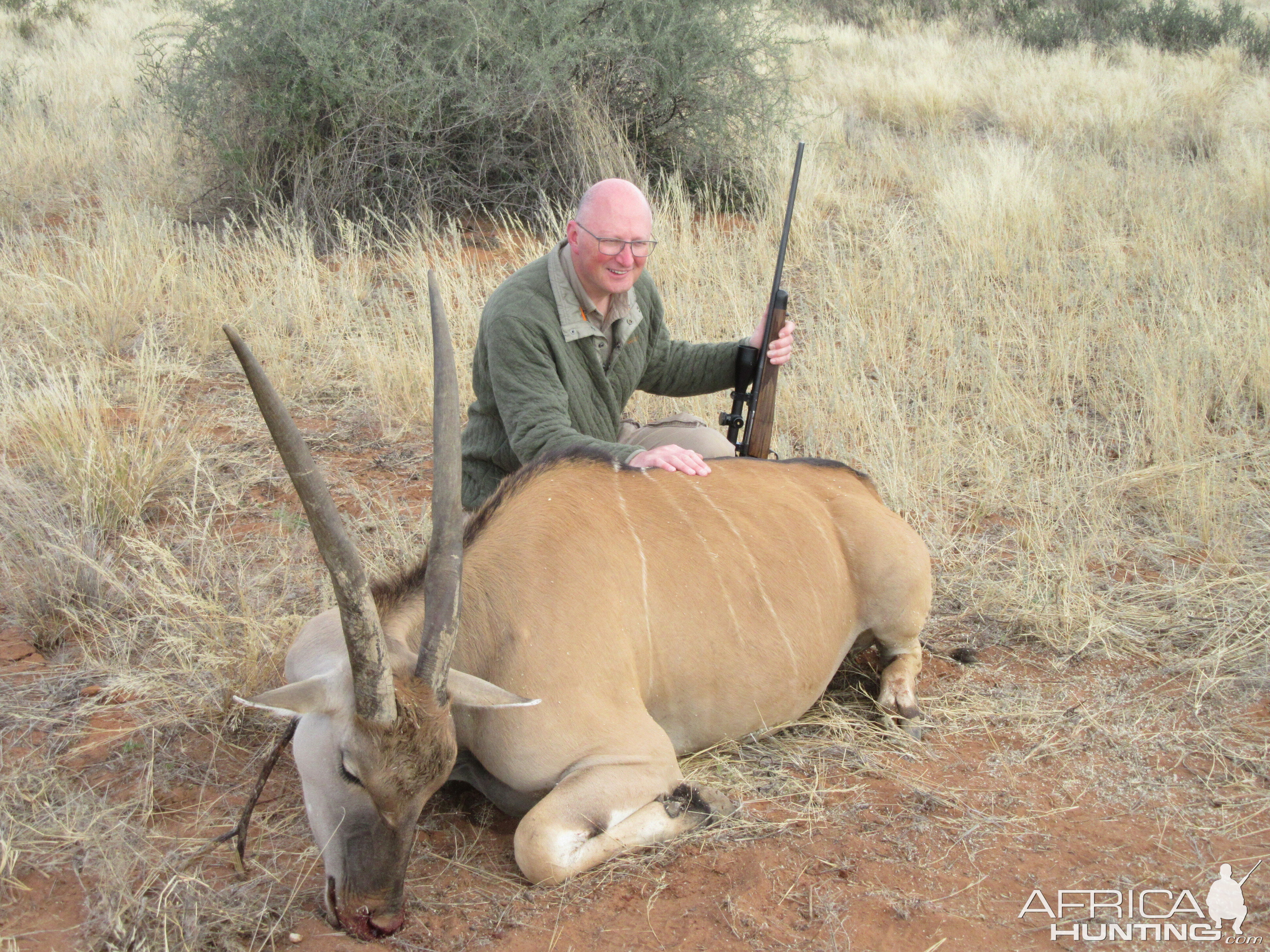 Livingstone Eland Cow Hunt Namibia