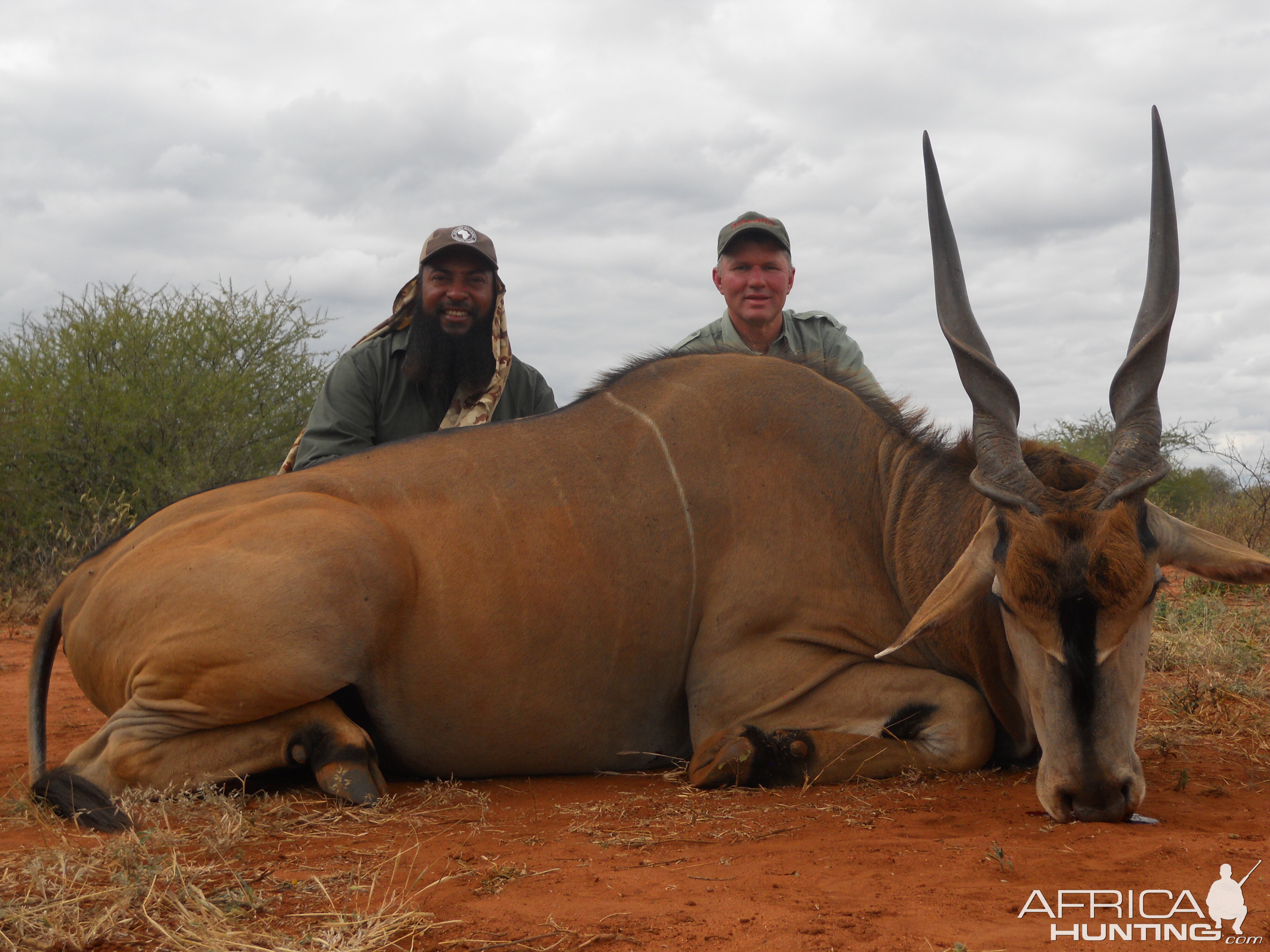 Livingstone Eland Hunt Tanzania