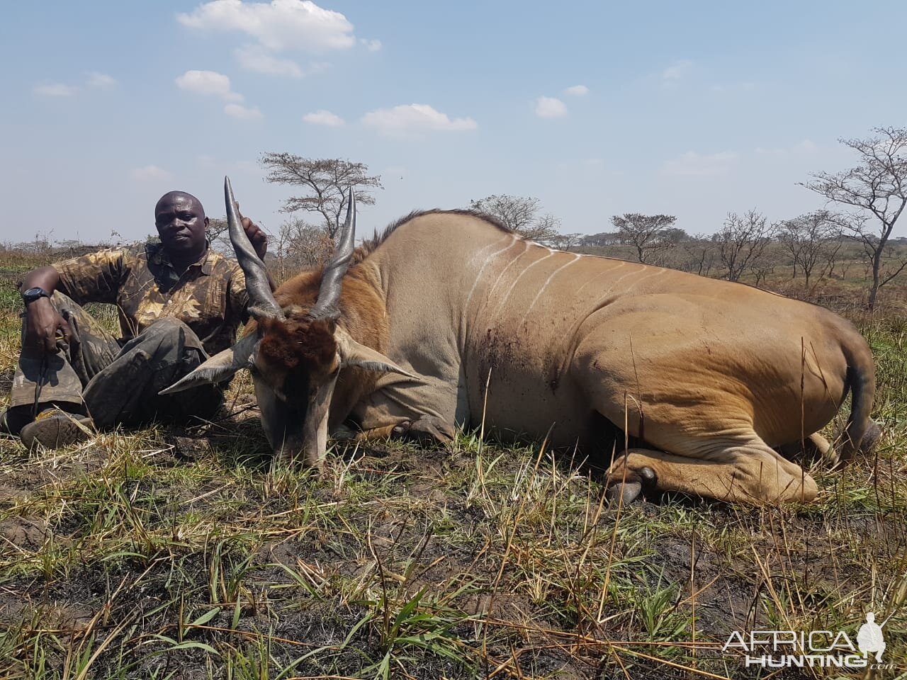 Livingstone Eland Hunt Tanzania