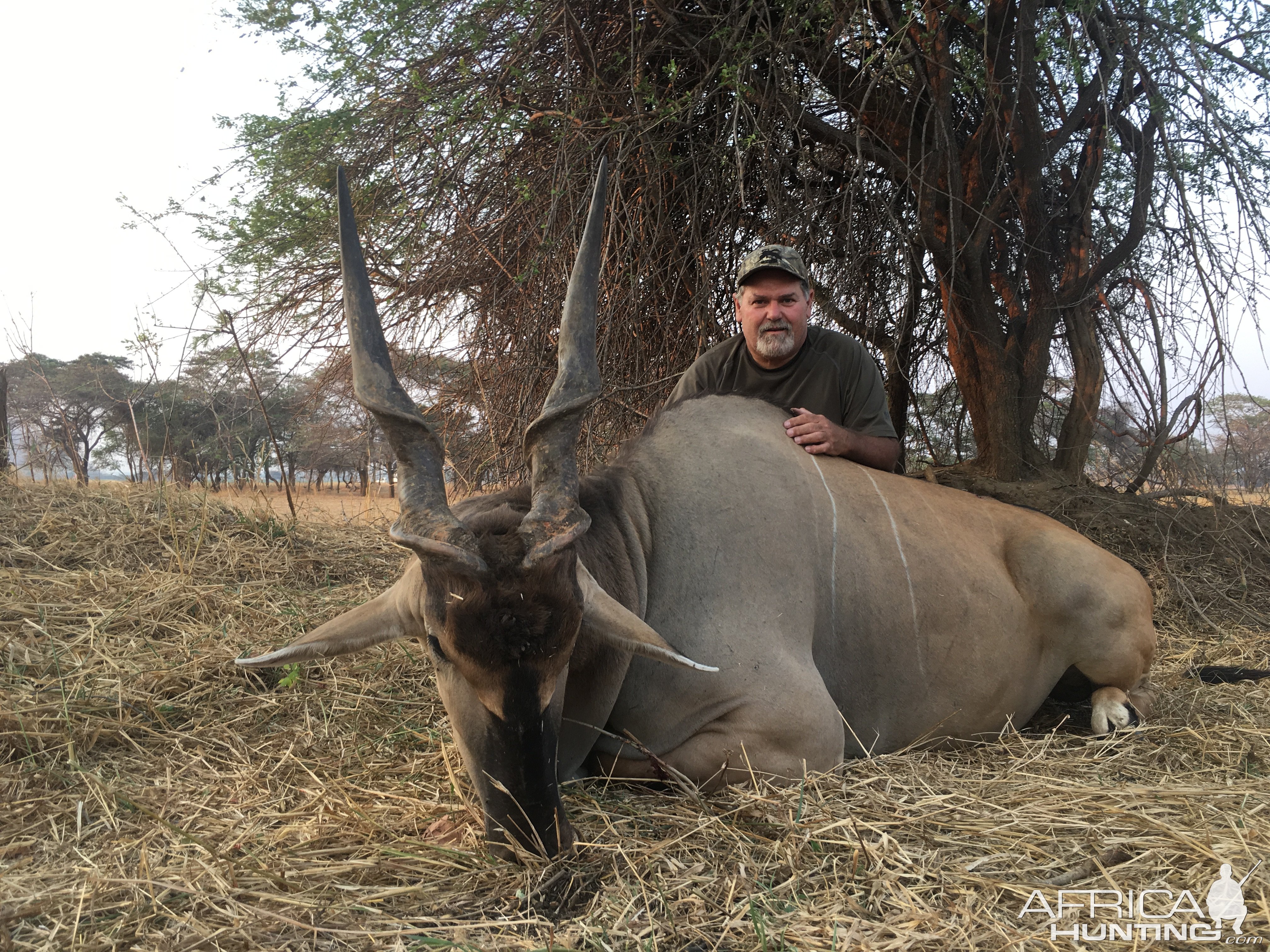 Livingstone Eland Hunt Zambia