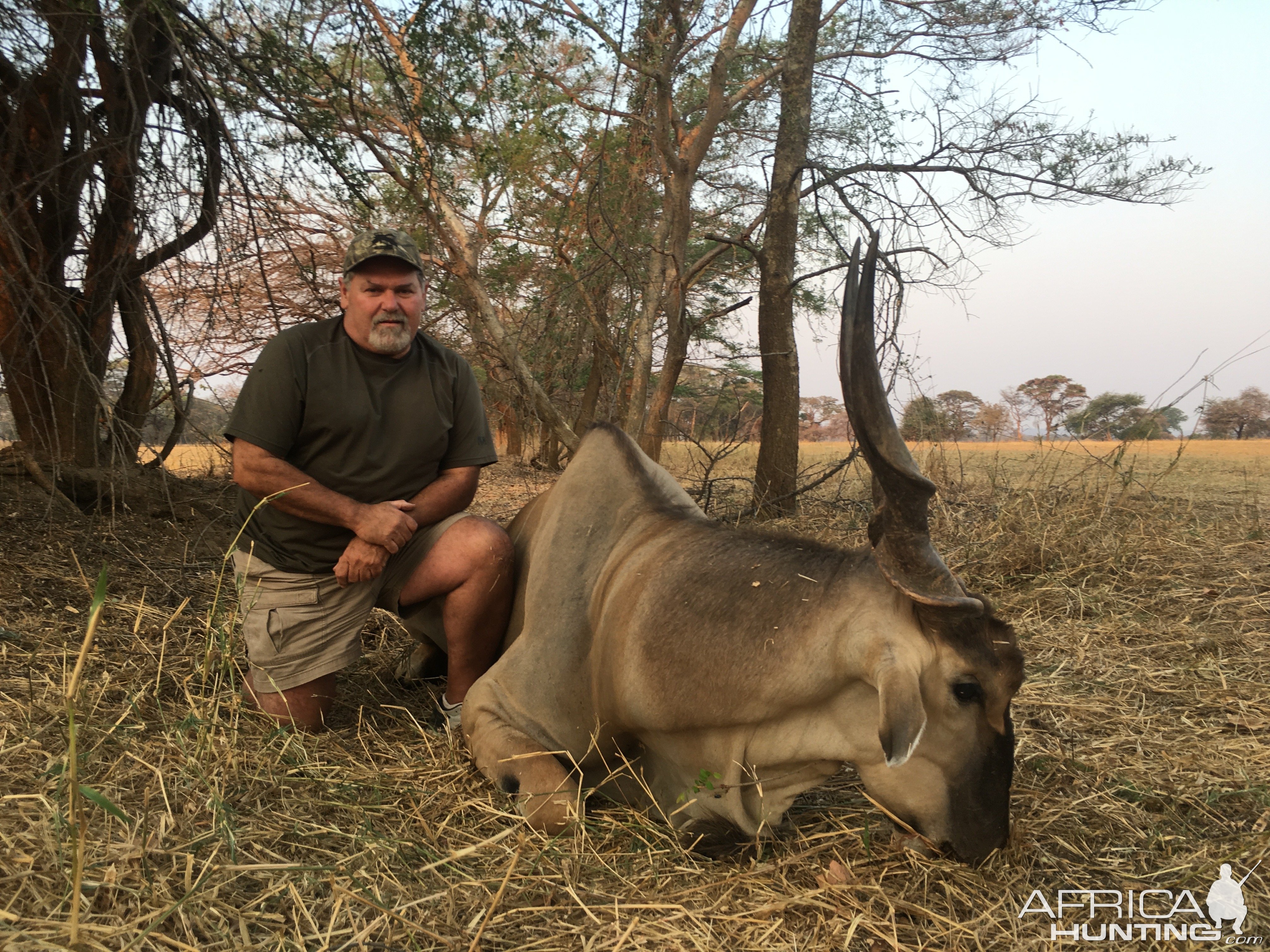 Livingstone Eland Hunt Zambia