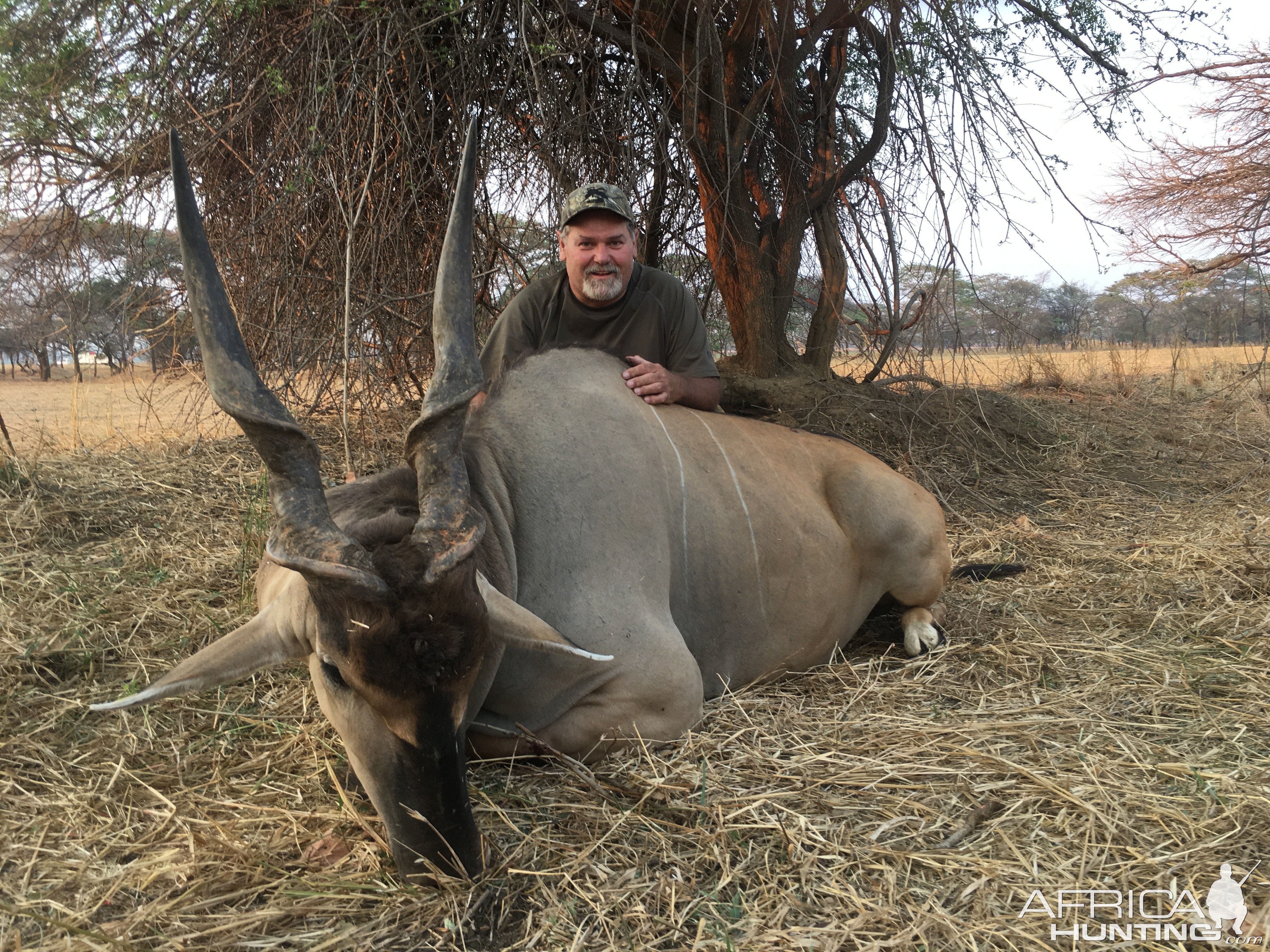 Livingstone Eland Hunt Zambia