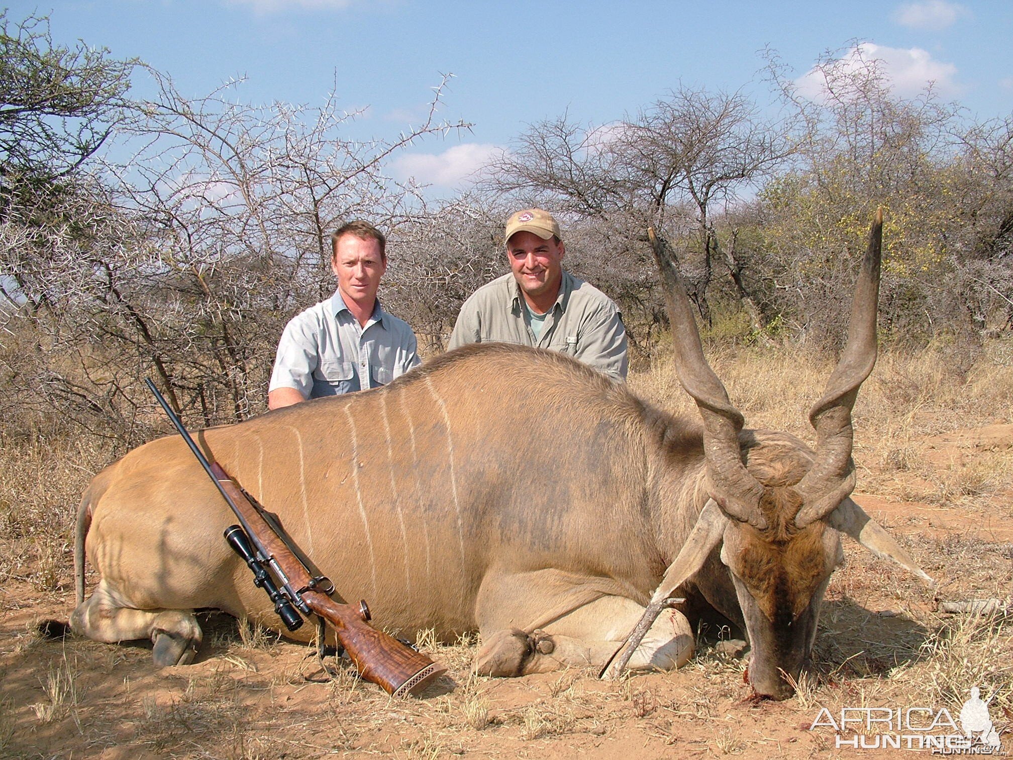 Livingstone Eland ~ Limpopo Valley, RSA