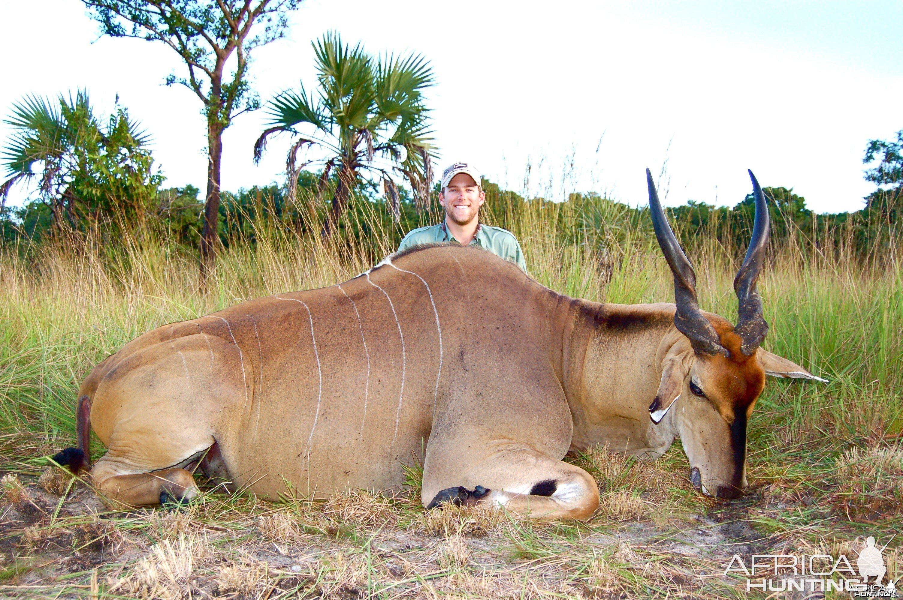 Livingstone's Eland Taken in Coutada 11, Mozambique, June 2010