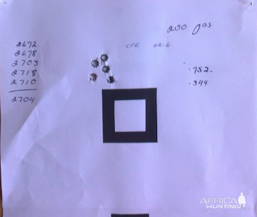 Load testing at 200 yds