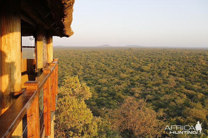 Lodge South Africa Hunting