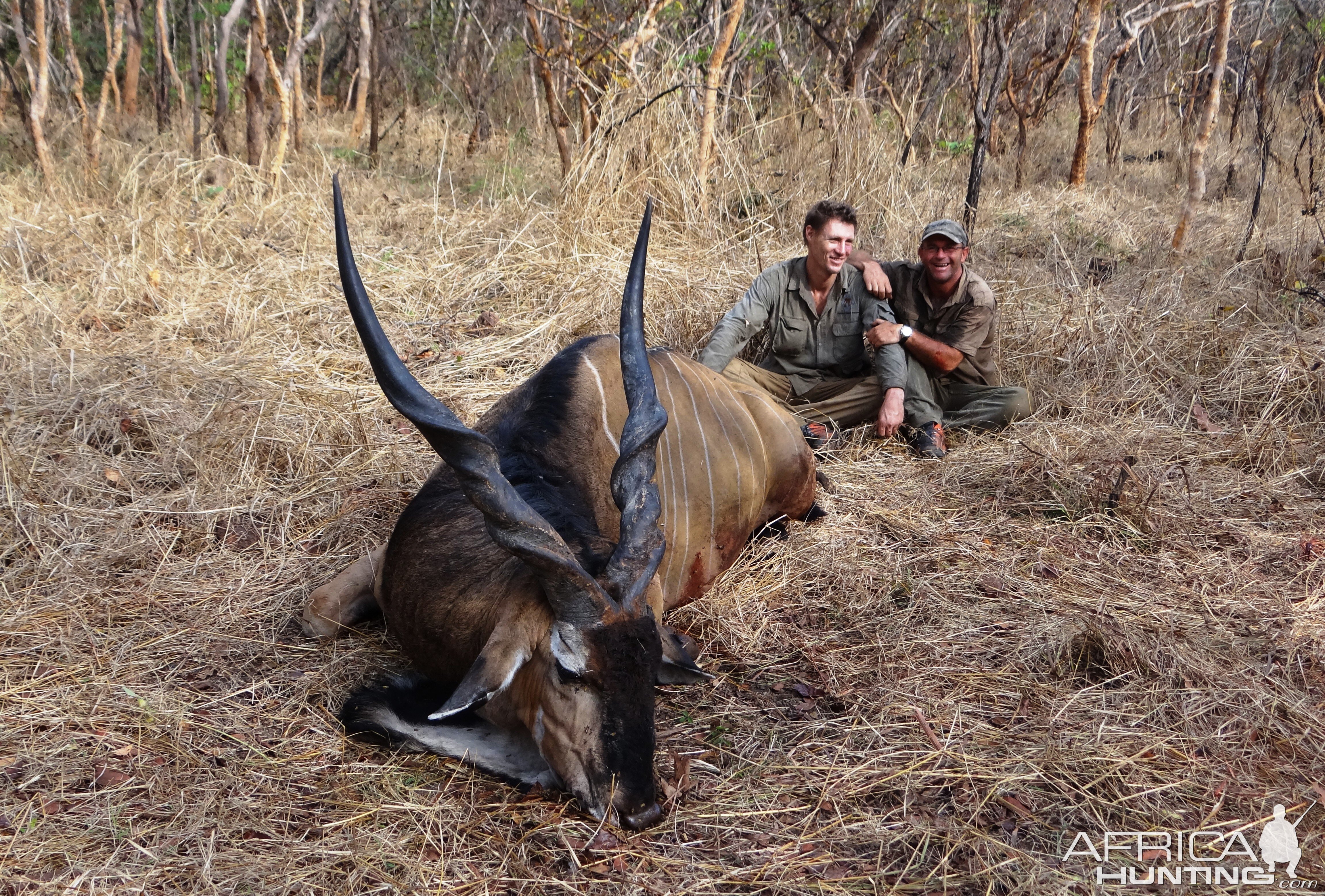 Lord Derby Eland hunt Central African Republic