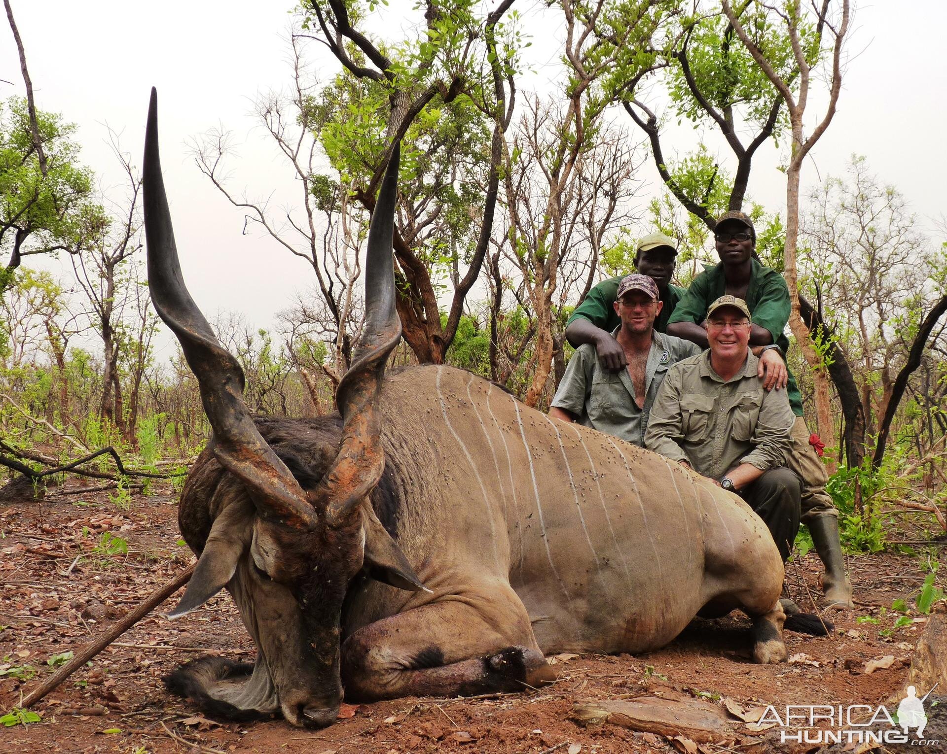 Lord Derby Eland hunted in CAR