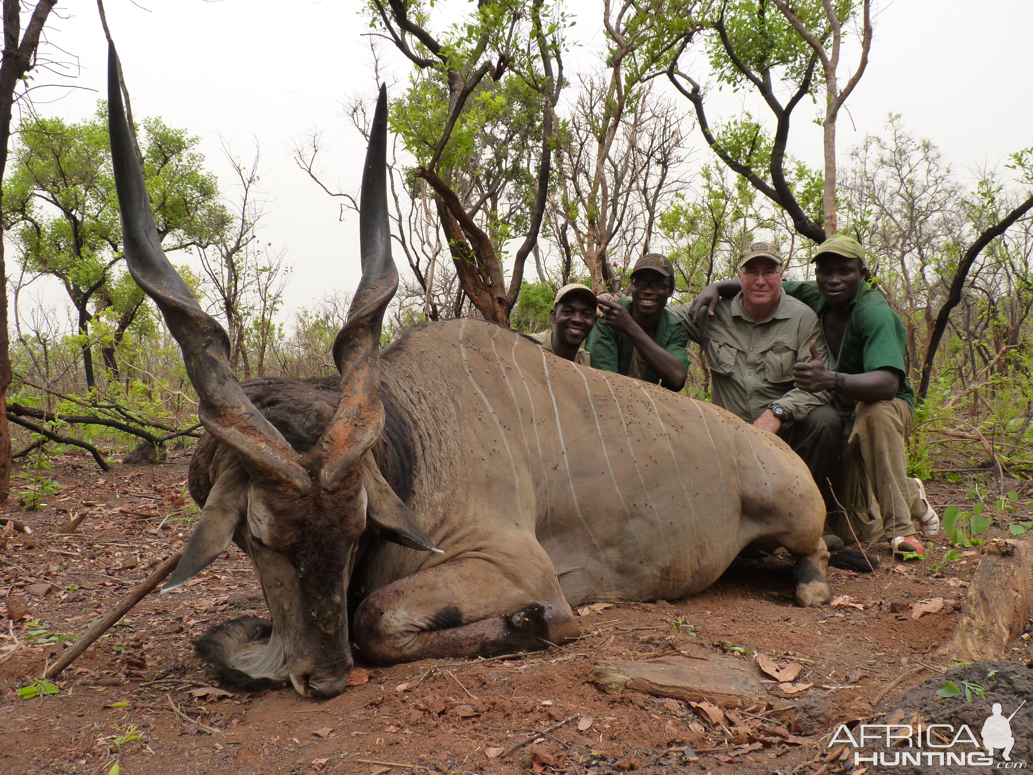 Lord Derby Eland hunted in CAR