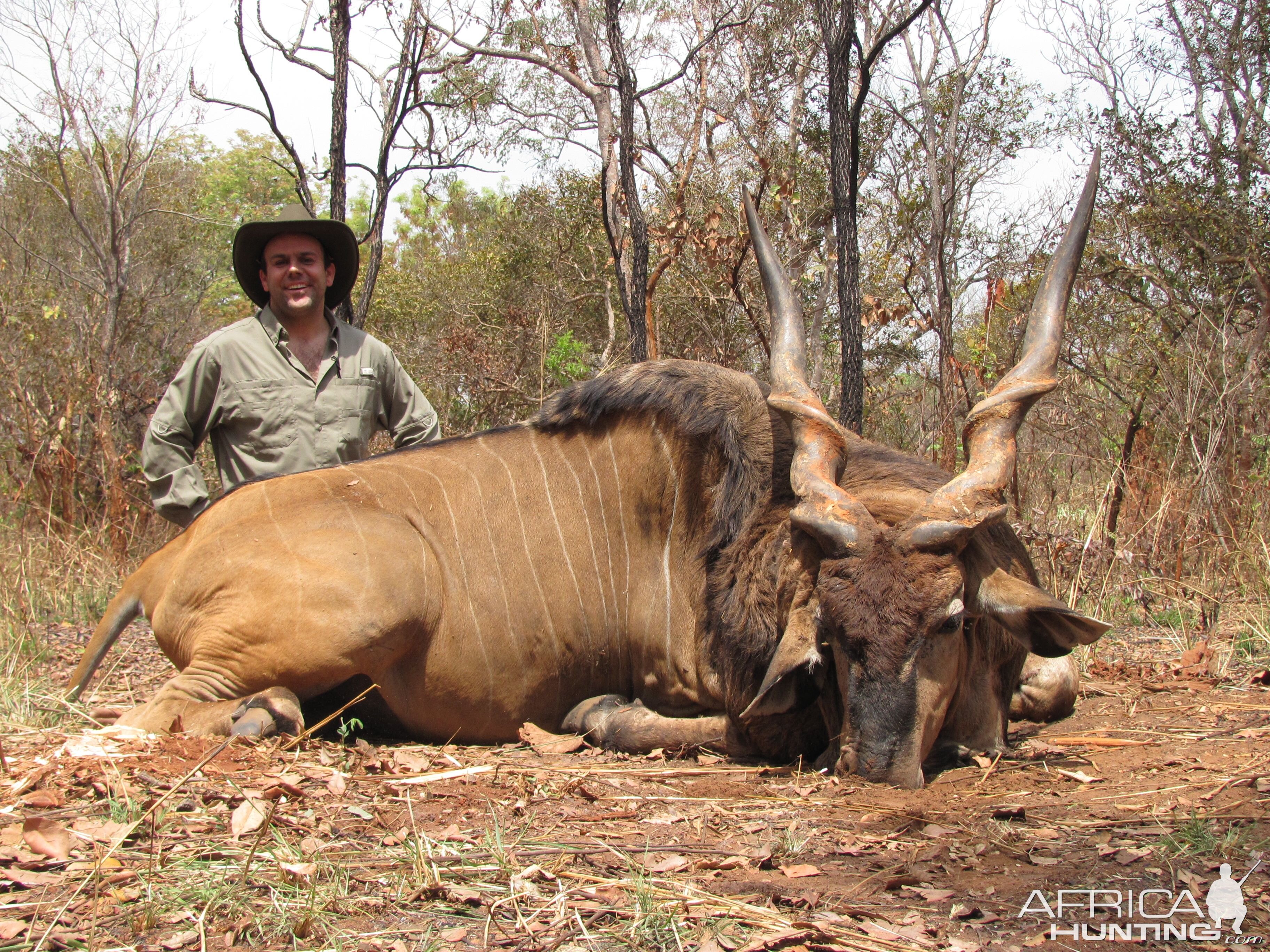 Lord Derby Eland hunted in Central Africa with Club Faune