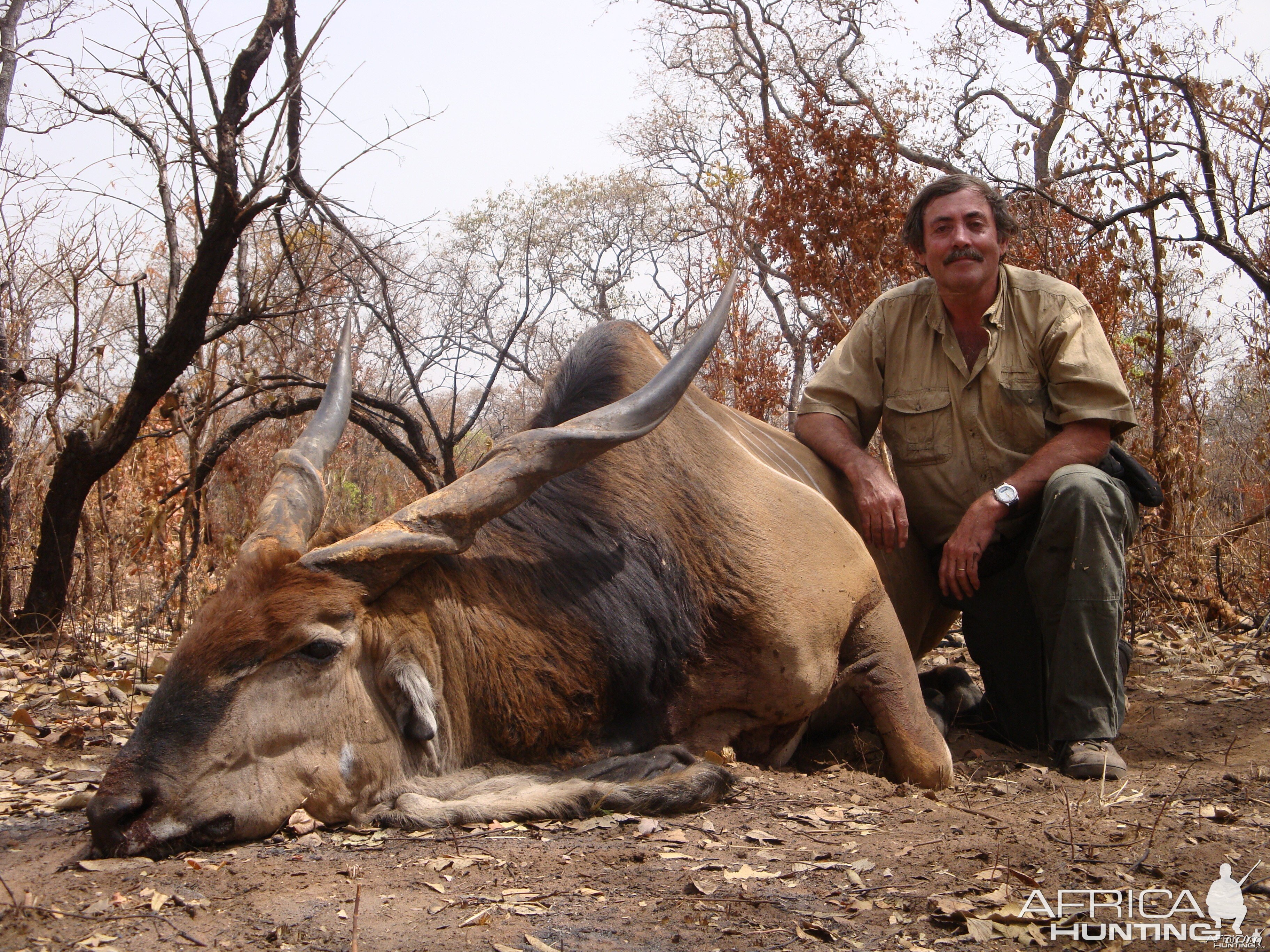 Lord Derby Eland hunted in Central Africa with Club Faune