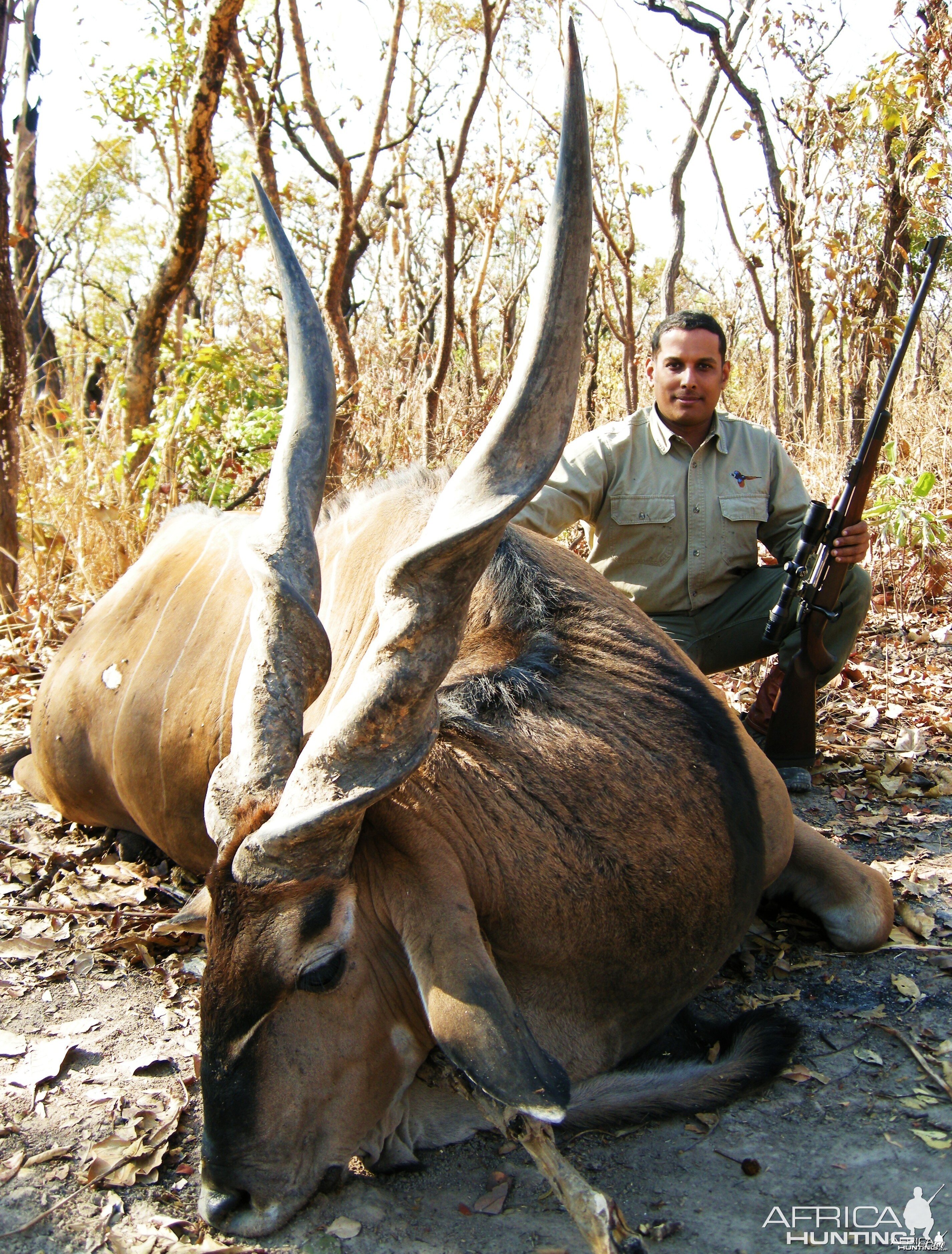 Lord Derby Eland hunted in Central Africa with Club Faune