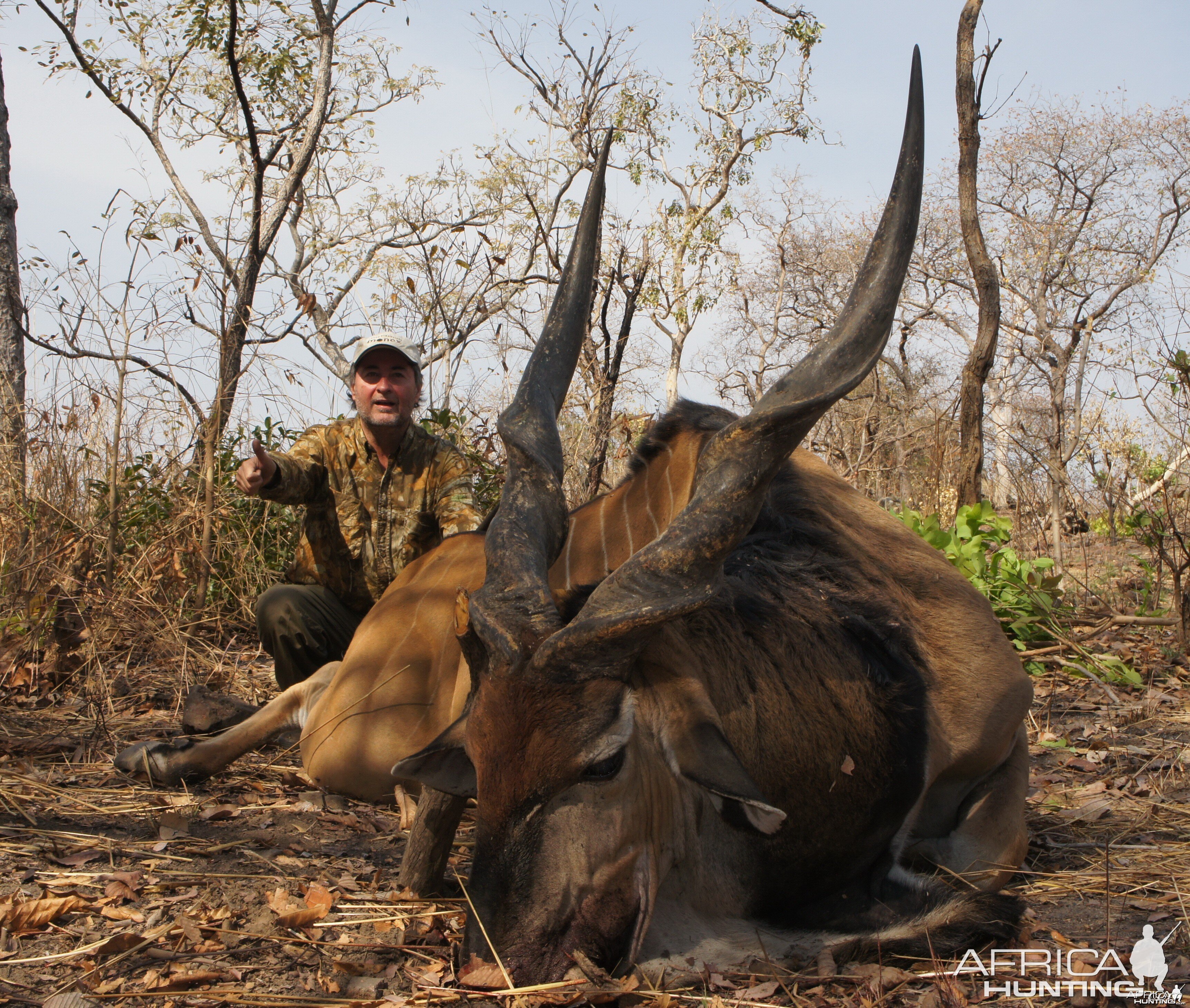 Lord Derby Eland hunted in Central Africa with Club Faune