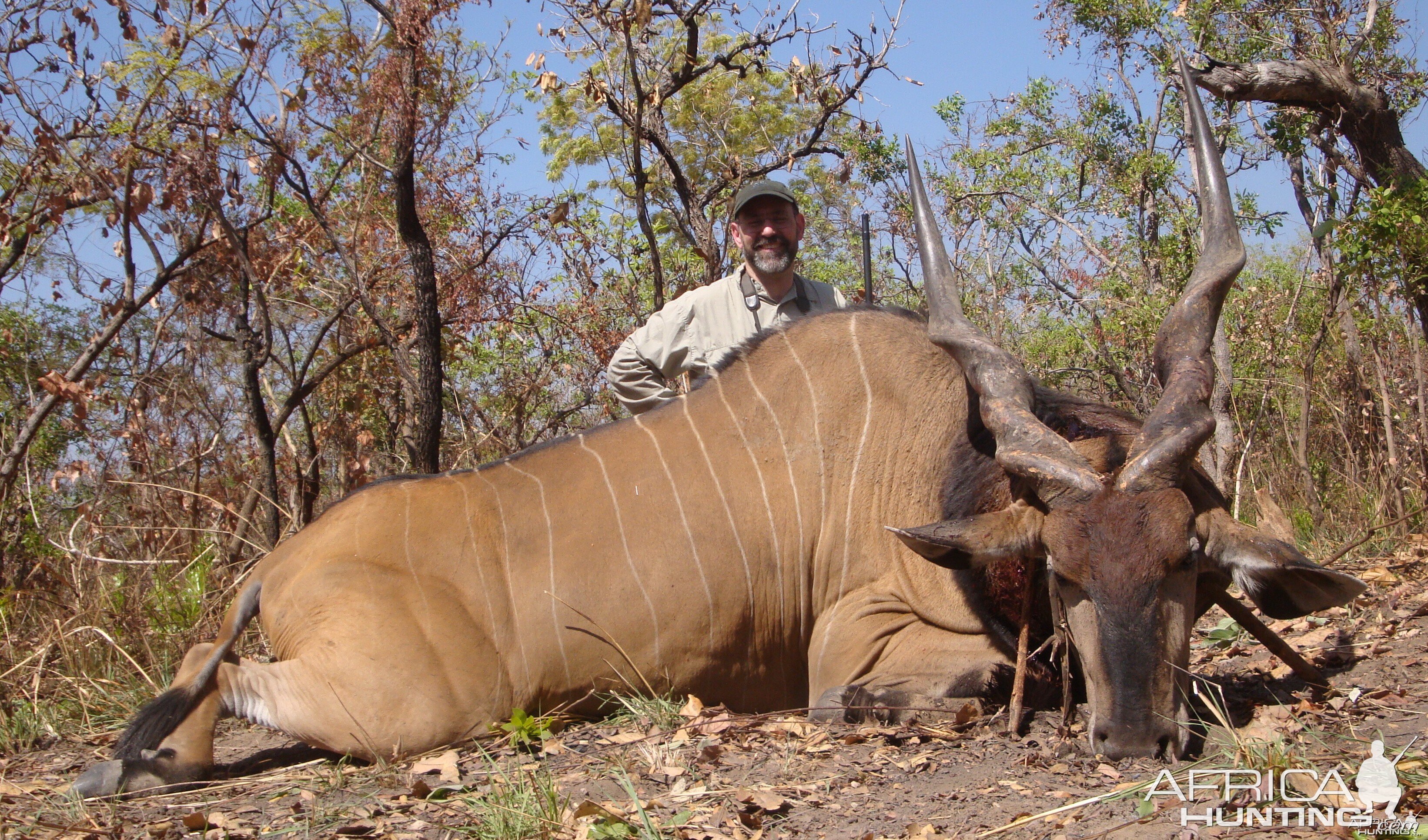 Lord Derby Eland hunted in Central Africa with Club Faune