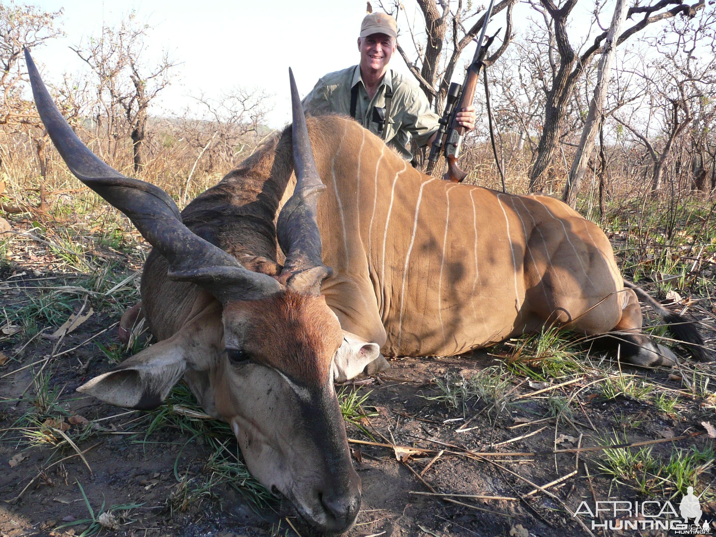 Lord Derby Eland hunted in Central Africa with Club Faune