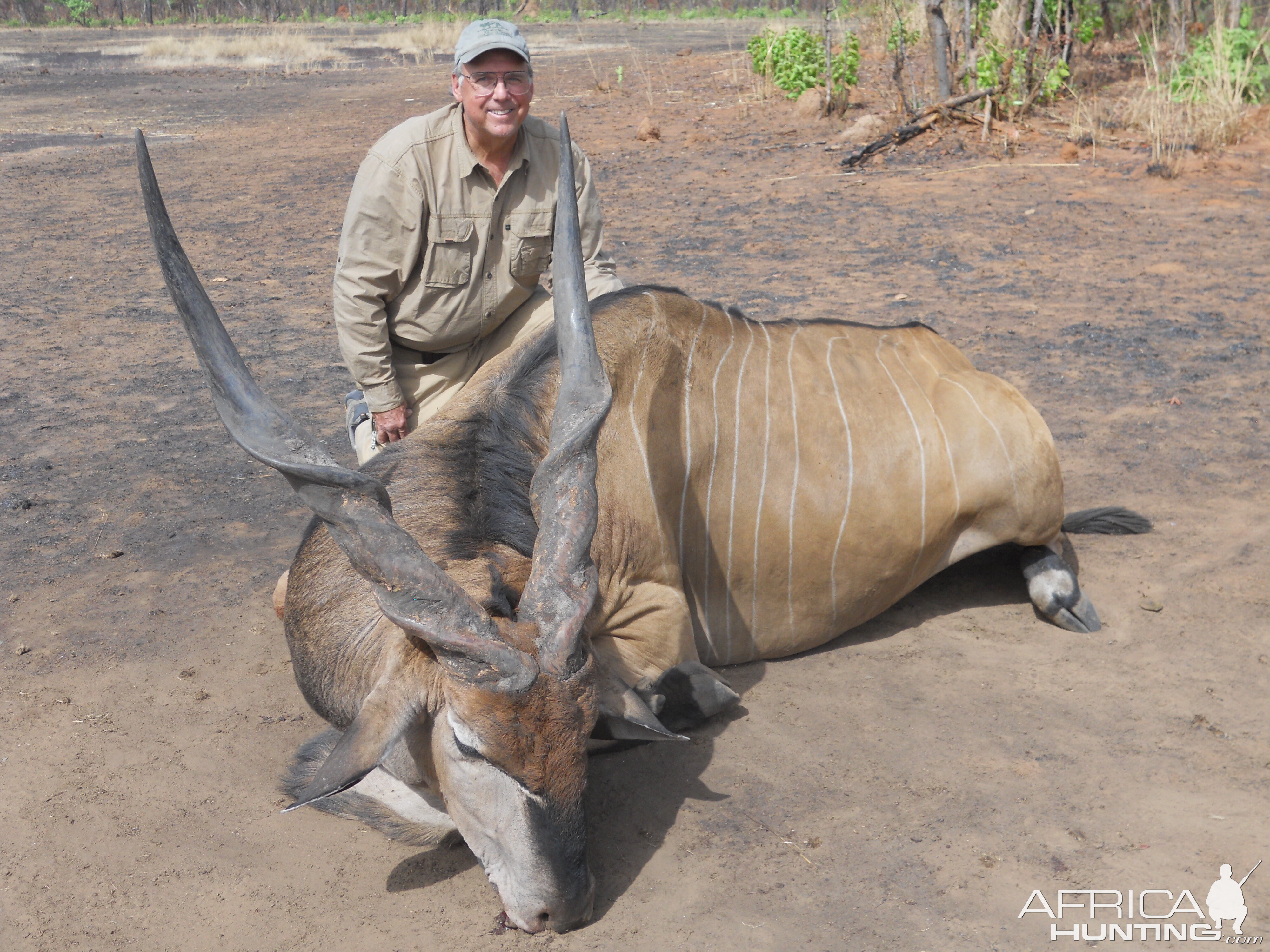 Lord Derby Eland hunted in Central Africa with Club Faune