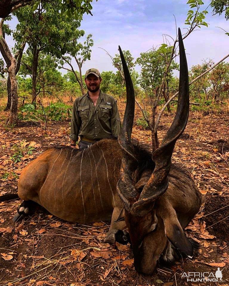 Lord Derby Eland Hunting Cameroon