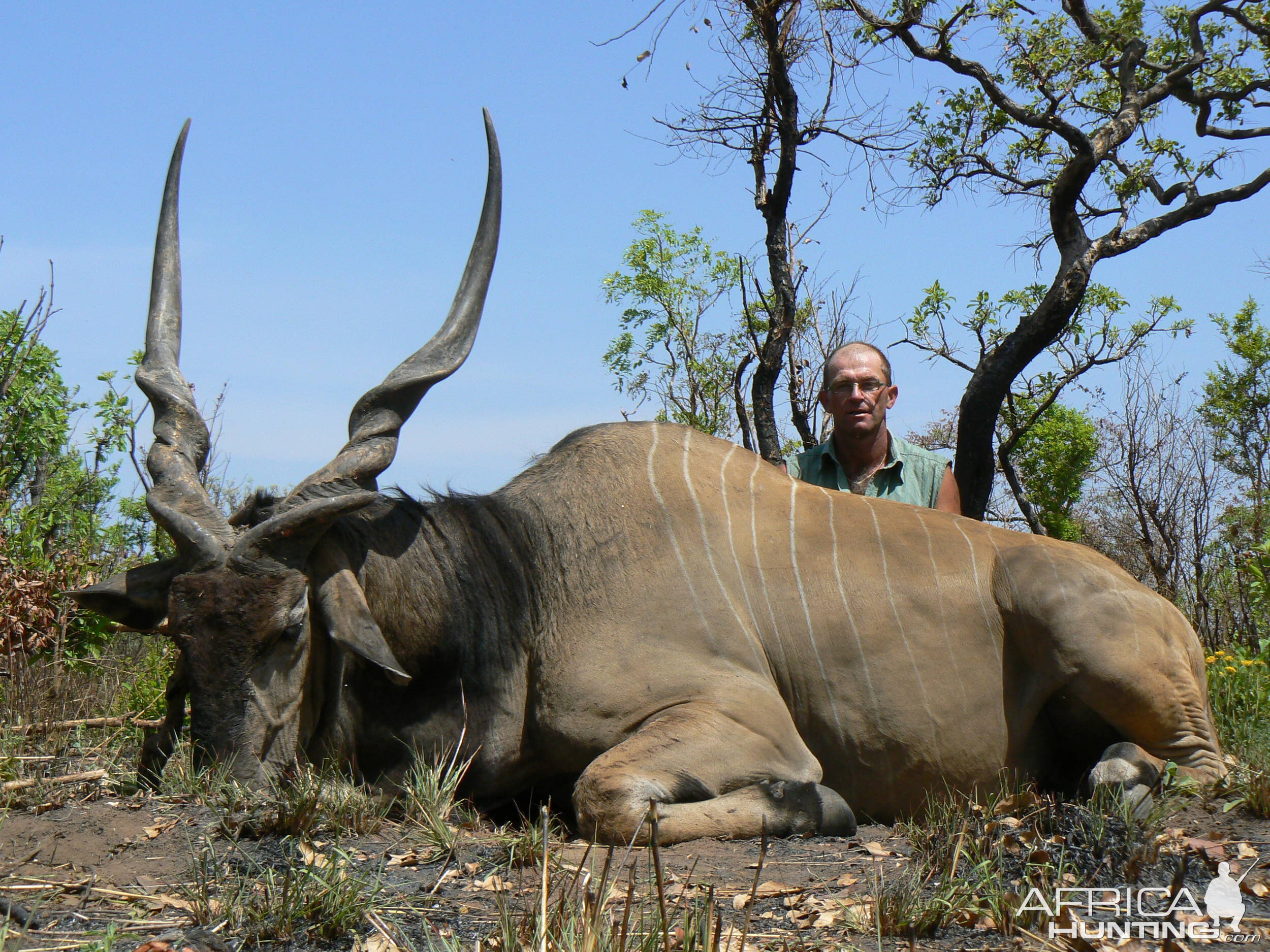 Lord Derby Eland in CAR