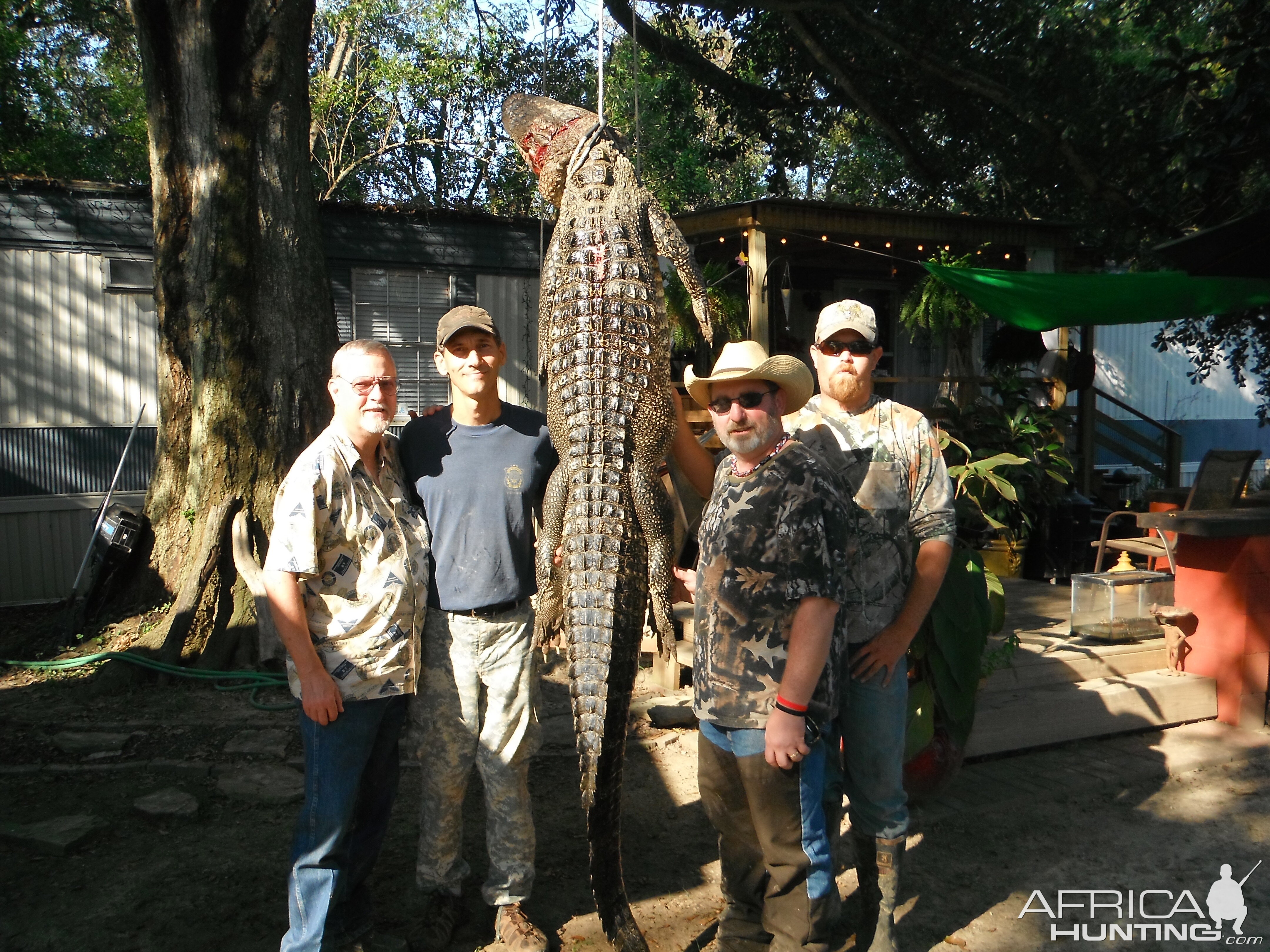 LOUISIANA ALLIGATOR HUNT