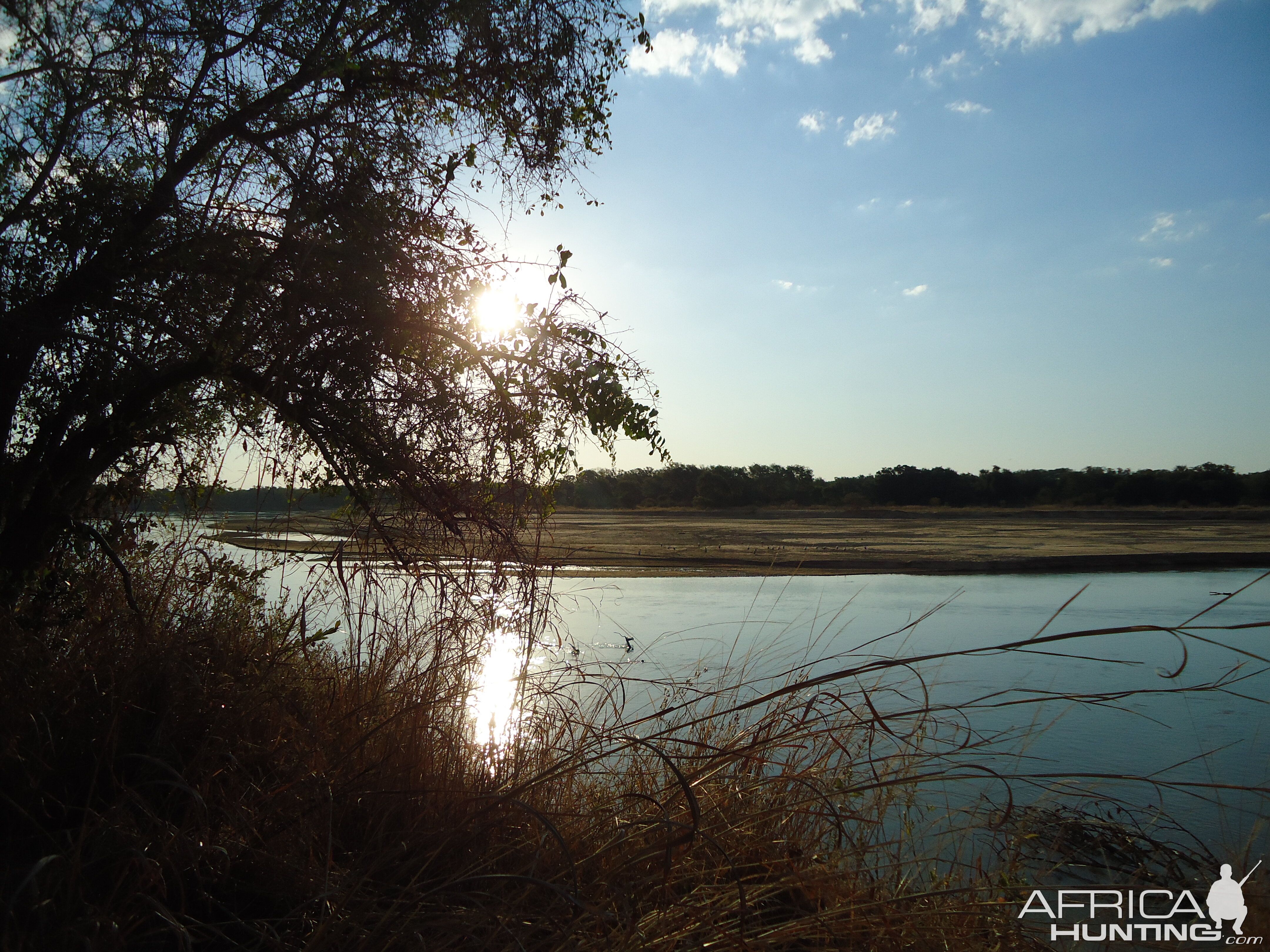 Luangwa River Zambia