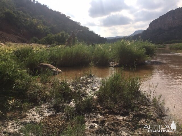 Luluvu River South Africa