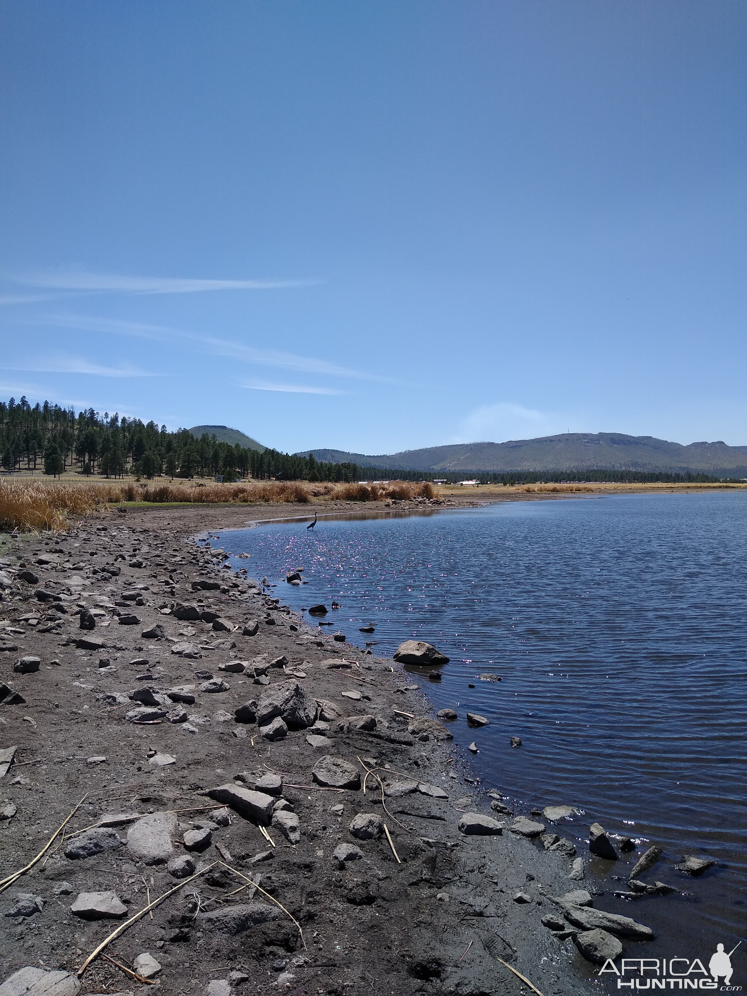 Luna Lake Arizona Nature