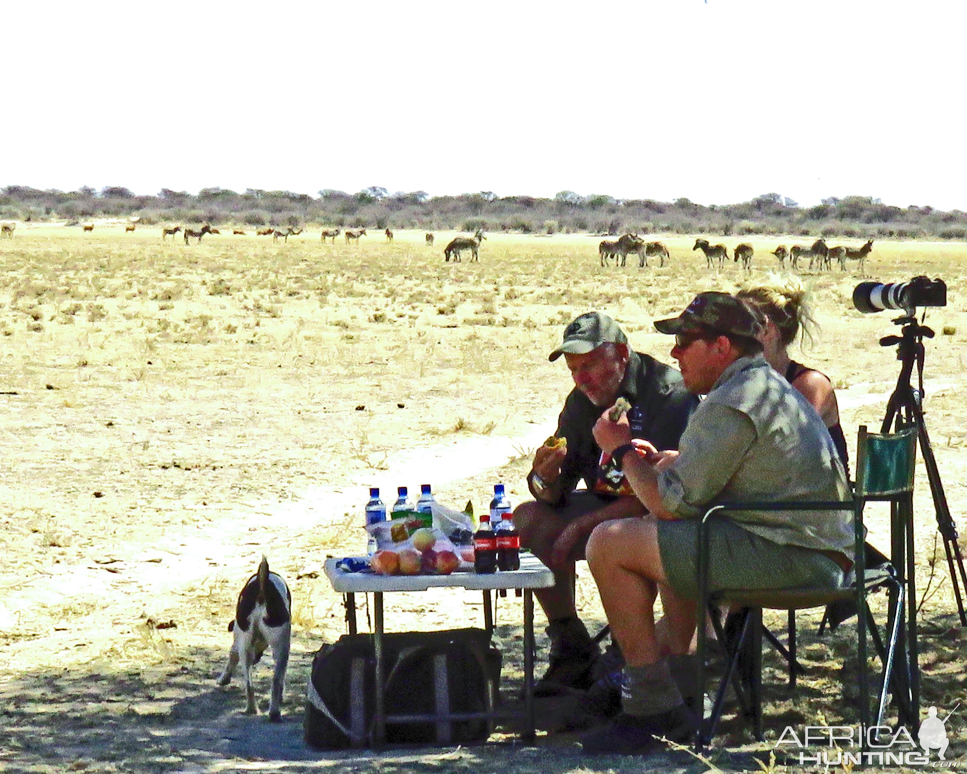 Lunch in the shade, its been hot out there recently