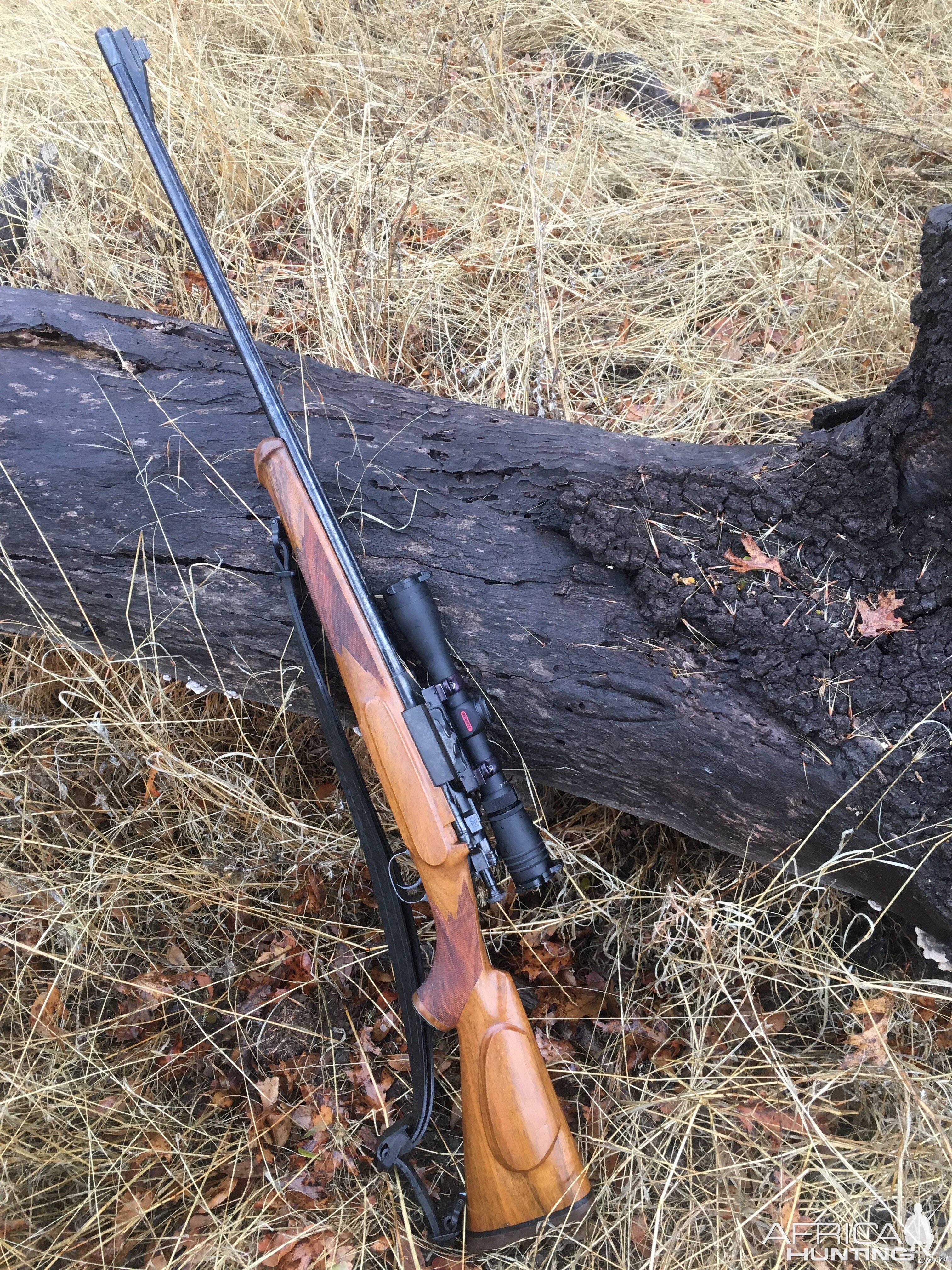 M1903 Springfiled Rifle