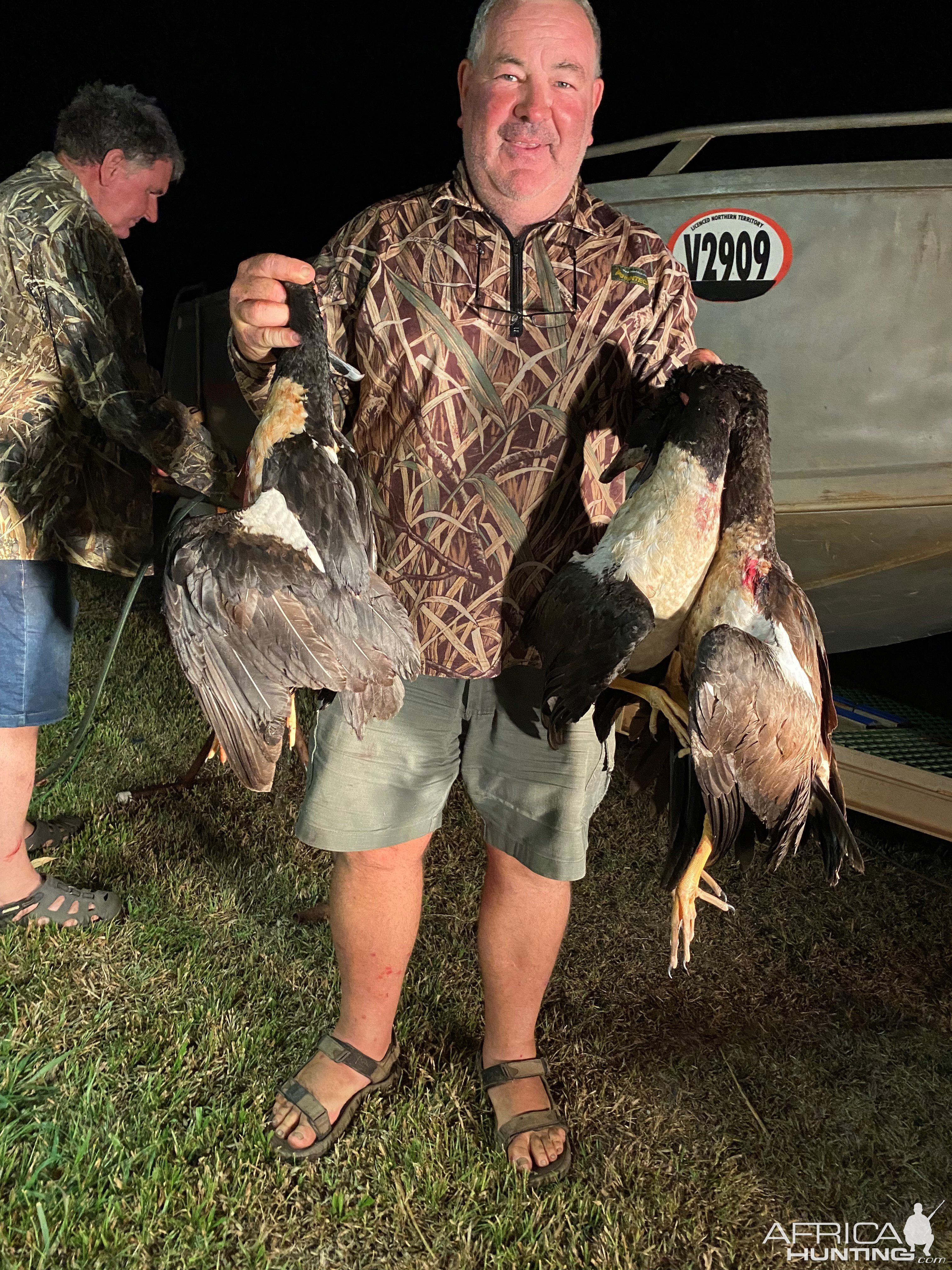 Magpie Geese Hunt Australia