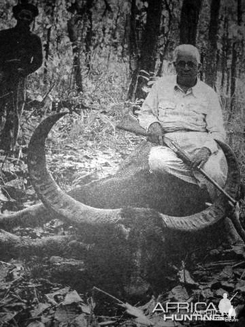 Maharaj Kumar with Asiatic Buffalo