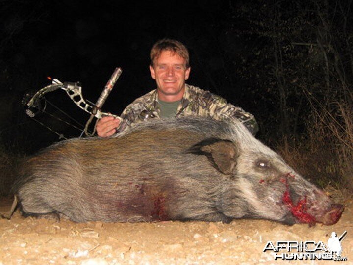 Malcolm Thomson Bowhunting Bushpig