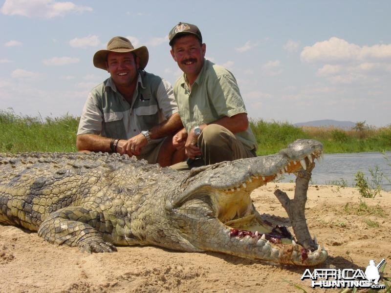 Man Eating Croc