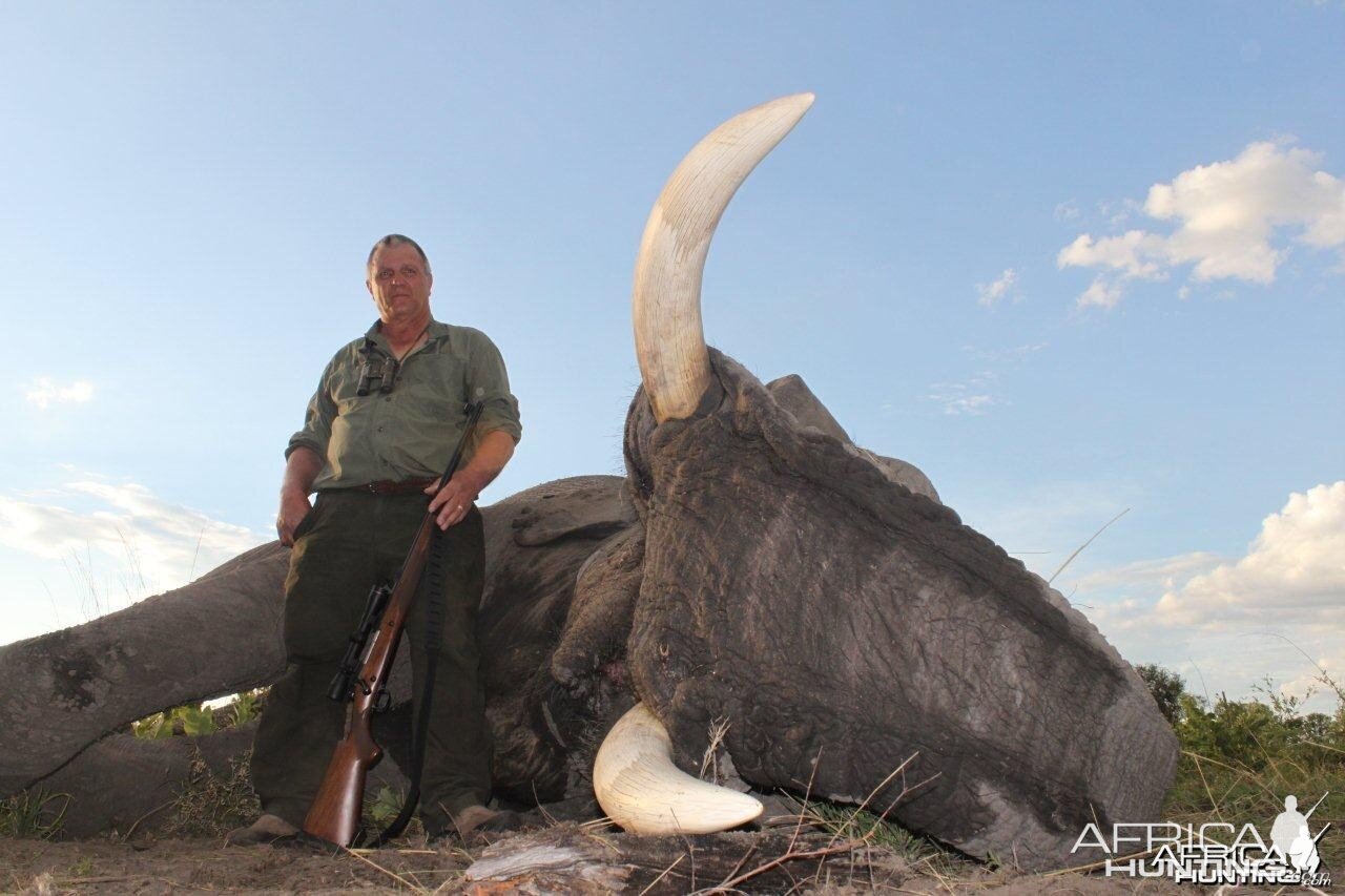 Management Trophy Elephant (Caprivi)