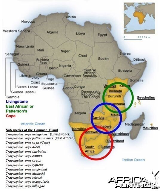 Map of Eland species