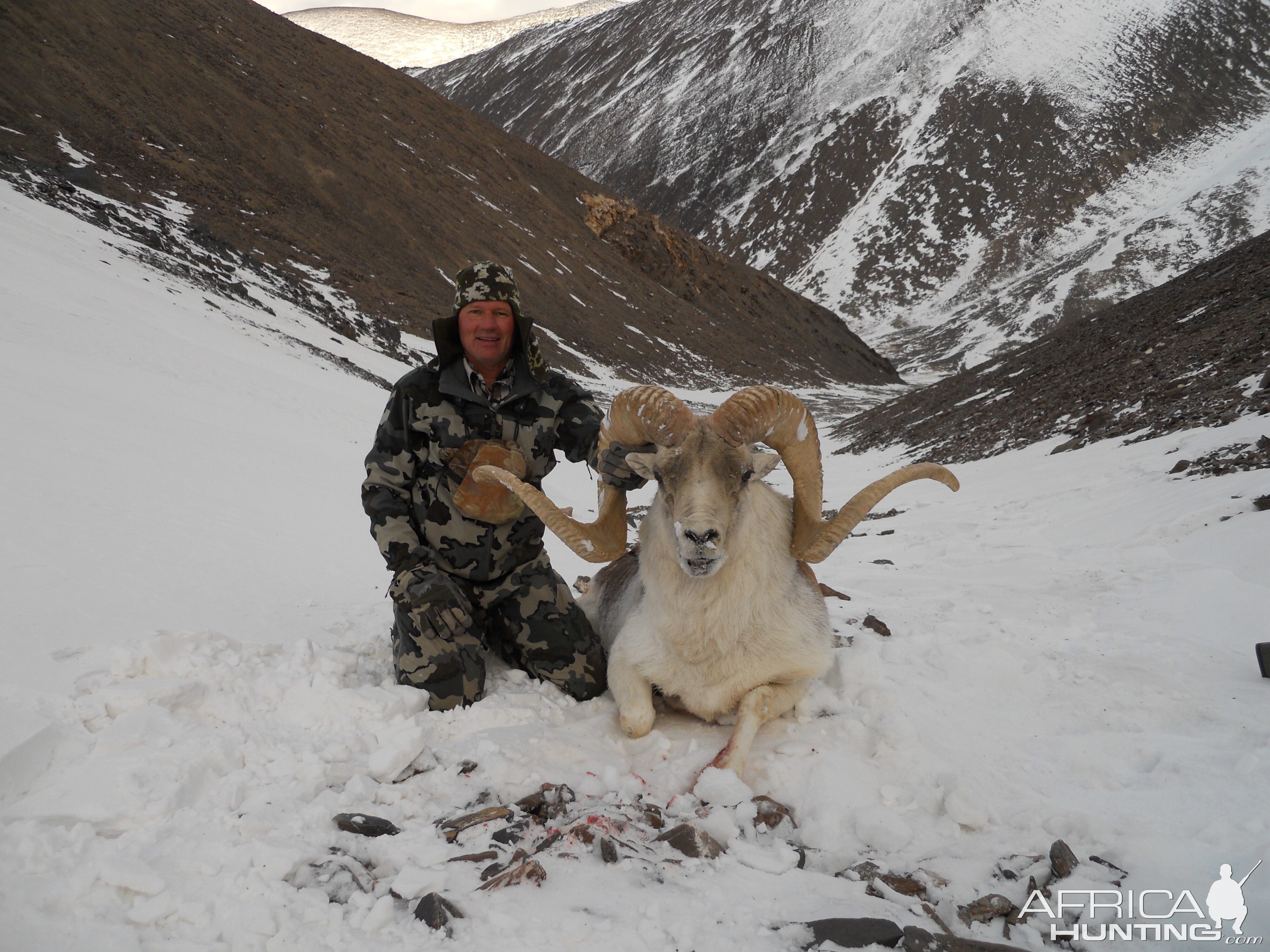 Marco Polo Hunting Tajikistan