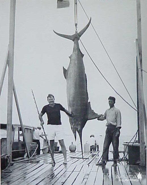 Marlin Fishing