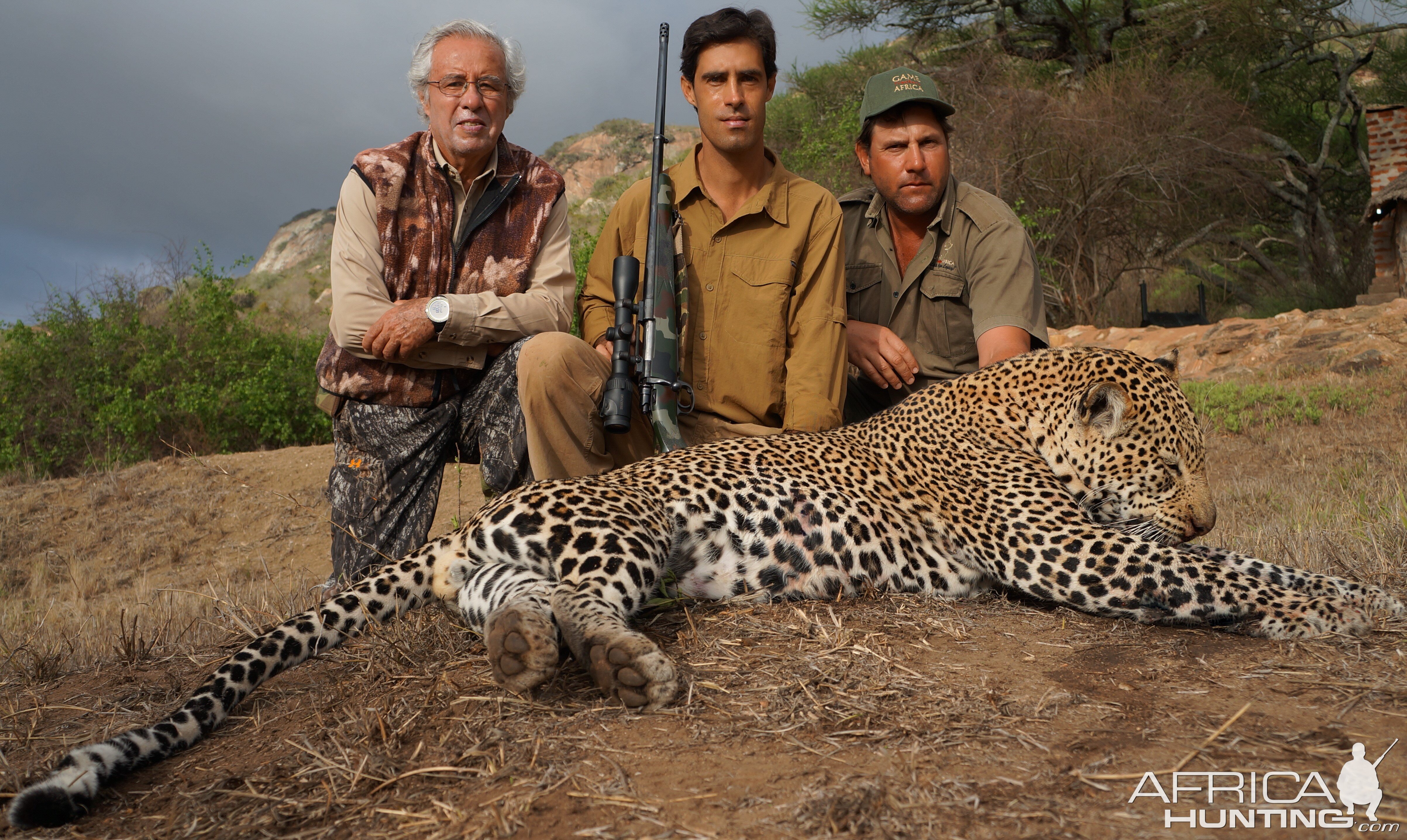 Masaailand Leopard